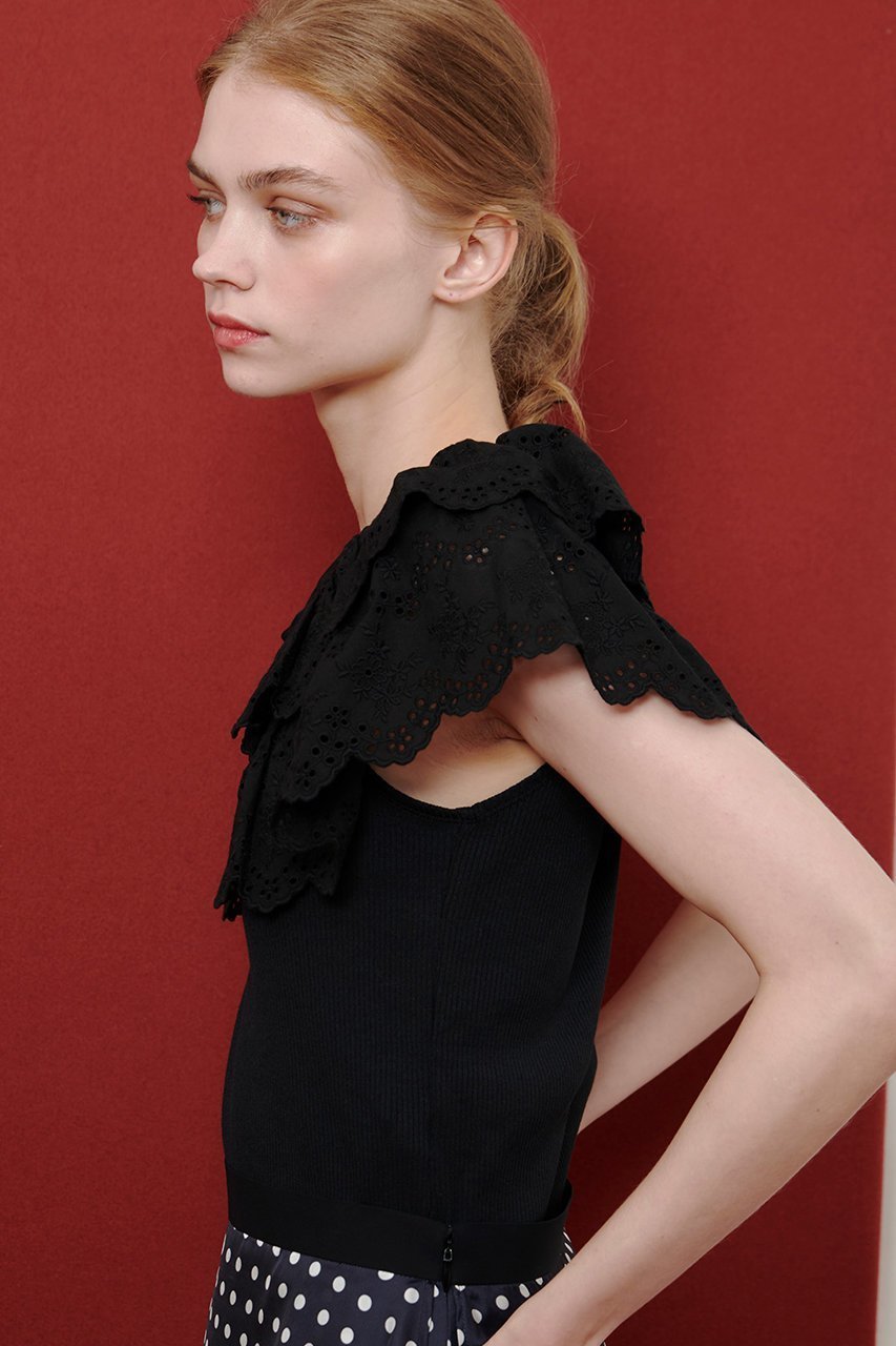 【アルアバイル/allureville】の【Loulou Willoughby】レーススカラッププルオーバー 人気、トレンドファッション・服の通販 founy(ファニー) 　ファッション　Fashion　レディースファッション　Fashion for Women　トップス・カットソー　Cut & Sew Tops　シャツ・ブラウス・オフィスカジュアル　Elegant Blouses & Button-Ups　ロングTシャツ・Tシャツ　Longline T-Shirts & Tees　カジュアルプルオーバー・ニットトップス　Pullovers & Knit Tops / Casual Pullovers　カットソー・ベーシックTシャツ　Cut-and-Sewn Tops / Stretch Tees & Basics　2025年　2025　2025-2026秋冬・A/W　Autumn/Winter 2025–26 AW25–26　ショート　Short, Short Length　スリーブ　Sleeve, Long Sleeve / Short Sleeve　ティアード　Tiered, Tiered Style　デニム　Denim, Jeans Material　フェミニン　Feminine, Girly　レース　Lace, Lace Fabric　A/W・秋冬　Autumn/Winter　other-8|ID: prp329100004604768 ipo3291000000033138820