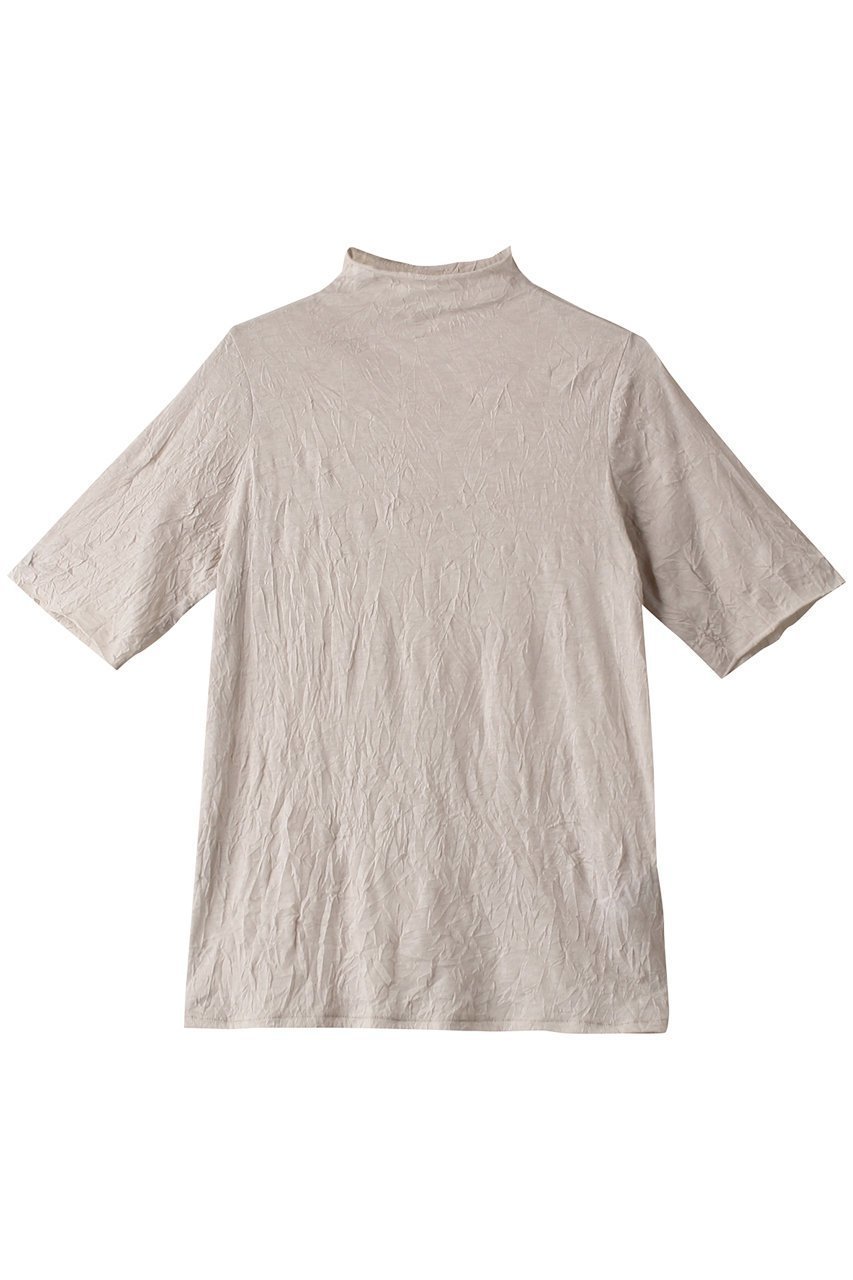 【ミディウミソリッド/MIDIUMISOLID】のsheer h/neck half slv inner インナー インテリア・キッズ・メンズ・レディースファッション・服の通販 founy(ファニー) 　ファッション　Fashion　レディースファッション　Fashion for Women　トップス・カットソー　Cut & Sew Tops　シャツ・ブラウス・オフィスカジュアル　Elegant Blouses & Button-Ups　ロングTシャツ・Tシャツ　Longline T-Shirts & Tees　カットソー・ベーシックTシャツ　Cut-and-Sewn Tops / Stretch Tees & Basics　インナー　Innerwear　シアー　Sheer, See-Through　ショート　Short, Short Length　シンプル　Simple, Minimal　スリーブ　Sleeve, Long Sleeve / Short Sleeve　ハイネック　High Neck, Mock Neck　ベーシック　Basic, Essential　今季　This Season, Current Season　半袖　Short Sleeve, Half Sleeve　s.beige|ID: prp329100004606064 ipo3291000000032835302