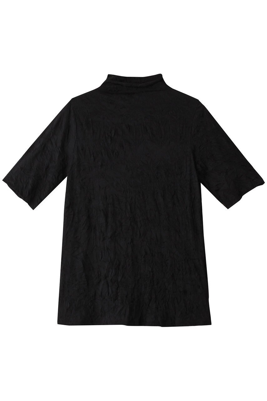 【ミディウミソリッド/MIDIUMISOLID】のsheer h/neck half slv inner インナー インテリア・キッズ・メンズ・レディースファッション・服の通販 founy(ファニー) 　ファッション　Fashion　レディースファッション　Fashion for Women　トップス・カットソー　Cut & Sew Tops　シャツ・ブラウス・オフィスカジュアル　Elegant Blouses & Button-Ups　ロングTシャツ・Tシャツ　Longline T-Shirts & Tees　カットソー・ベーシックTシャツ　Cut-and-Sewn Tops / Stretch Tees & Basics　インナー　Innerwear　シアー　Sheer, See-Through　ショート　Short, Short Length　シンプル　Simple, Minimal　スリーブ　Sleeve, Long Sleeve / Short Sleeve　ハイネック　High Neck, Mock Neck　ベーシック　Basic, Essential　今季　This Season, Current Season　半袖　Short Sleeve, Half Sleeve　black|ID: prp329100004606064 ipo3291000000032835314