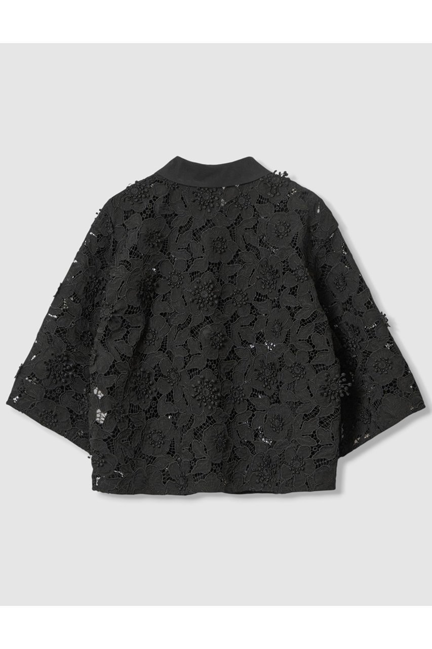 【アナイ/ANAYI】のレース刺繍クロップドシャツ 人気、トレンドファッション・服の通販 founy(ファニー) 　ファッション　Fashion　レディースファッション　Fashion for Women　トップス・カットソー　Cut & Sew Tops　シャツ・ブラウス・オフィスカジュアル　Elegant Blouses & Button-Ups　ショート　Short, Short Length　スリーブ　Sleeve, Long Sleeve / Short Sleeve　フラワー　Flower, Floral　レース　Lace, Lace Fabric　ワーク　Workwear, Utility Style　新作・新入荷　New Arrivals / New In　無地　Plain, Solid Color　other-2|ID: prp329100004606076 ipo3291000000032835684