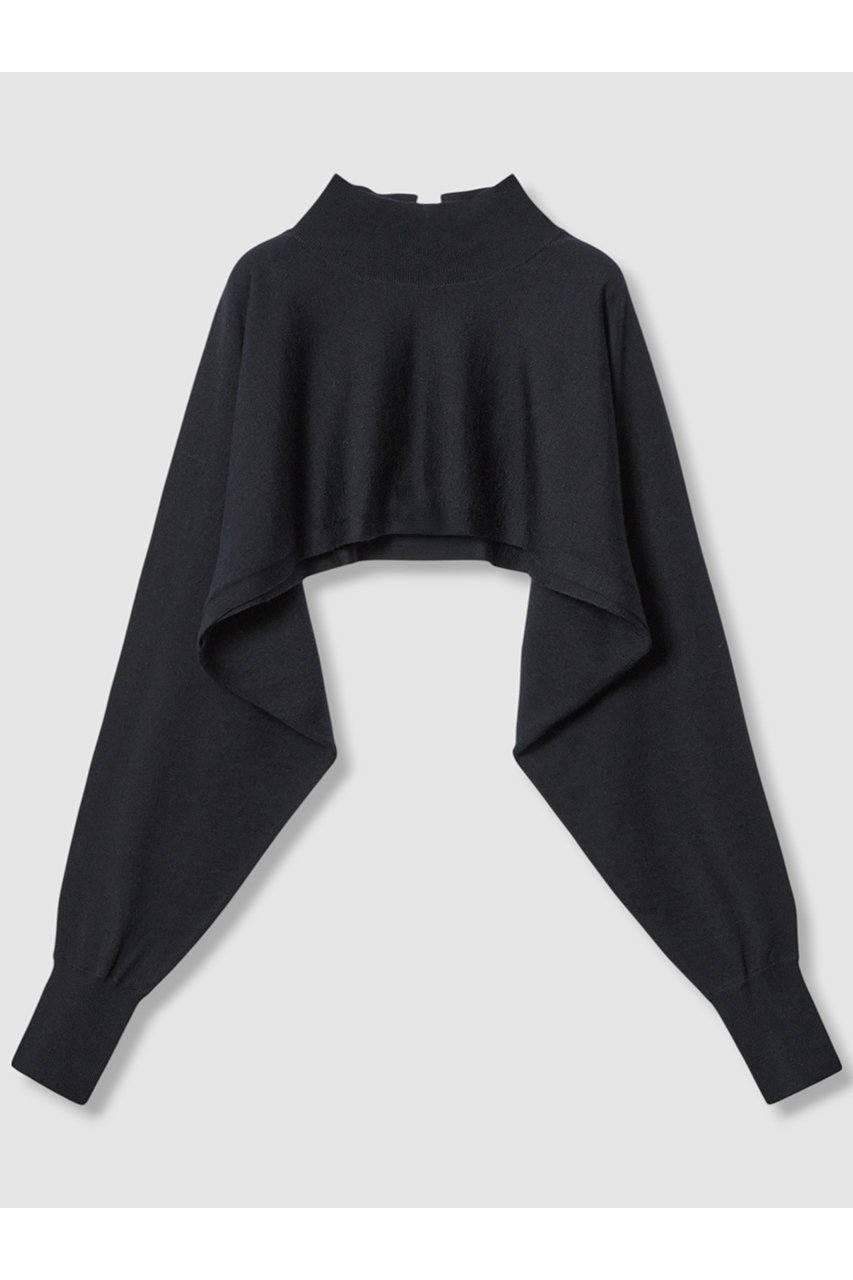 【アナイ/ANAYI】のエキストラファインメリノアンサンブルニット 人気、トレンドファッション・服の通販 founy(ファニー) ファッション Fashion レディースファッション Fashion for Women トップス・カットソー Cut & Sew Tops ニット Knit Tops & Sweaters アンサンブルニット Knit Ensembles & Twin Sets カジュアルプルオーバー・ニットトップス Pullovers & Knit Tops / Casual Pullovers なめらか Smooth, Silky Texture アンサンブル Ensemble Set ショール Shawl, Wrap ハイネック High Neck, Mock Neck ボレロ Bolero, Short Cardigan other-3|ID: prp329100004606119 ipo3291000000032837571