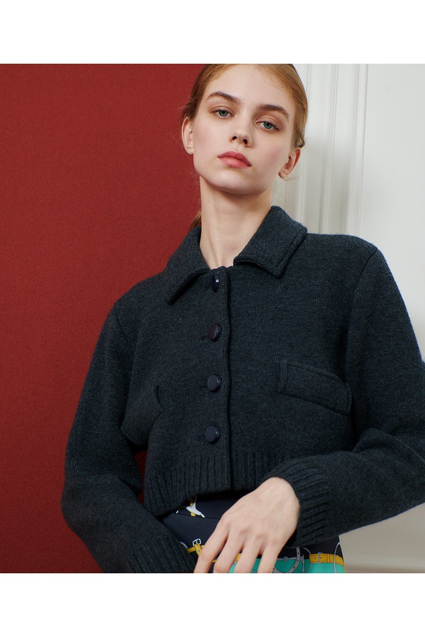 【アルアバイル/allureville】の【Loulou Willoughby】デュアルレイヤード 人気、トレンドファッション・服の通販 founy(ファニー) 　ファッション　Fashion　レディースファッション　Fashion for Women　トップス・カットソー　Cut & Sew Tops　ニット　Knit Tops & Sweaters　カーディガン・羽織り　Layered Style Cardigans　カーディガン　Cardigan, Knitwear　ジャケット　Jacket, Outerwear　ロング　Long, Long-Length　羽織　Haori, Light Jacket　other-2|ID: prp329100004606124 ipo3291000000035964179