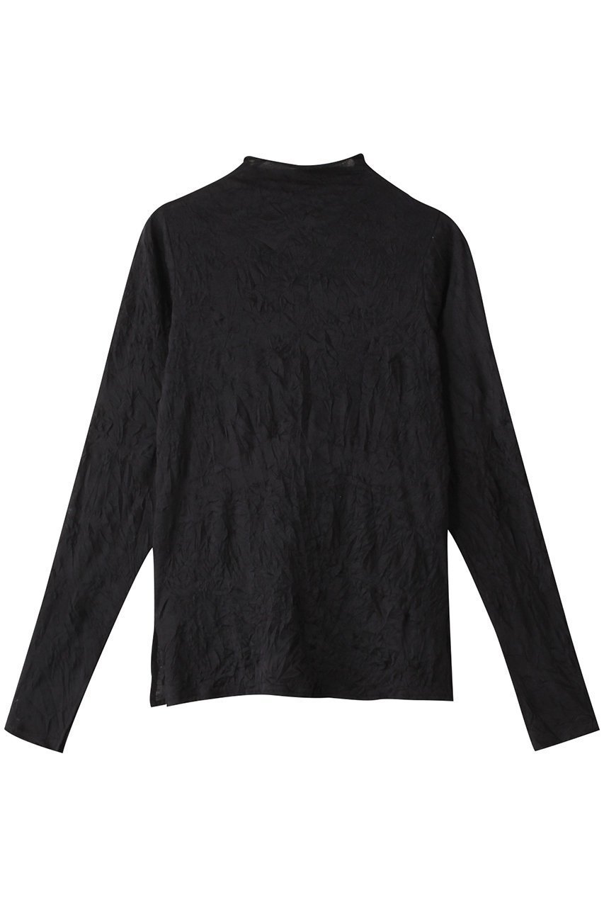 【ミディウミソリッド/MIDIUMISOLID】のsheer high neck inner インナー インテリア・キッズ・メンズ・レディースファッション・服の通販 founy(ファニー) 　ファッション　Fashion　レディースファッション　Fashion for Women　トップス・カットソー　Cut & Sew Tops　シャツ・ブラウス・オフィスカジュアル　Elegant Blouses & Button-Ups　ロングTシャツ・Tシャツ　Longline T-Shirts & Tees　カットソー・ベーシックTシャツ　Cut-and-Sewn Tops / Stretch Tees & Basics　インナー　Innerwear　キャミ　Camisole, Cami Top　スリット　Slit, Slit Detail　スリーブ　Sleeve, Long Sleeve / Short Sleeve　ビスチェ　Bustier, Corset Top　ロング　Long, Long-Length　人気　Popular, Best Seller　A/W・秋冬　Autumn/Winter　black|ID: prp329100004606216 ipo3291000000032841962