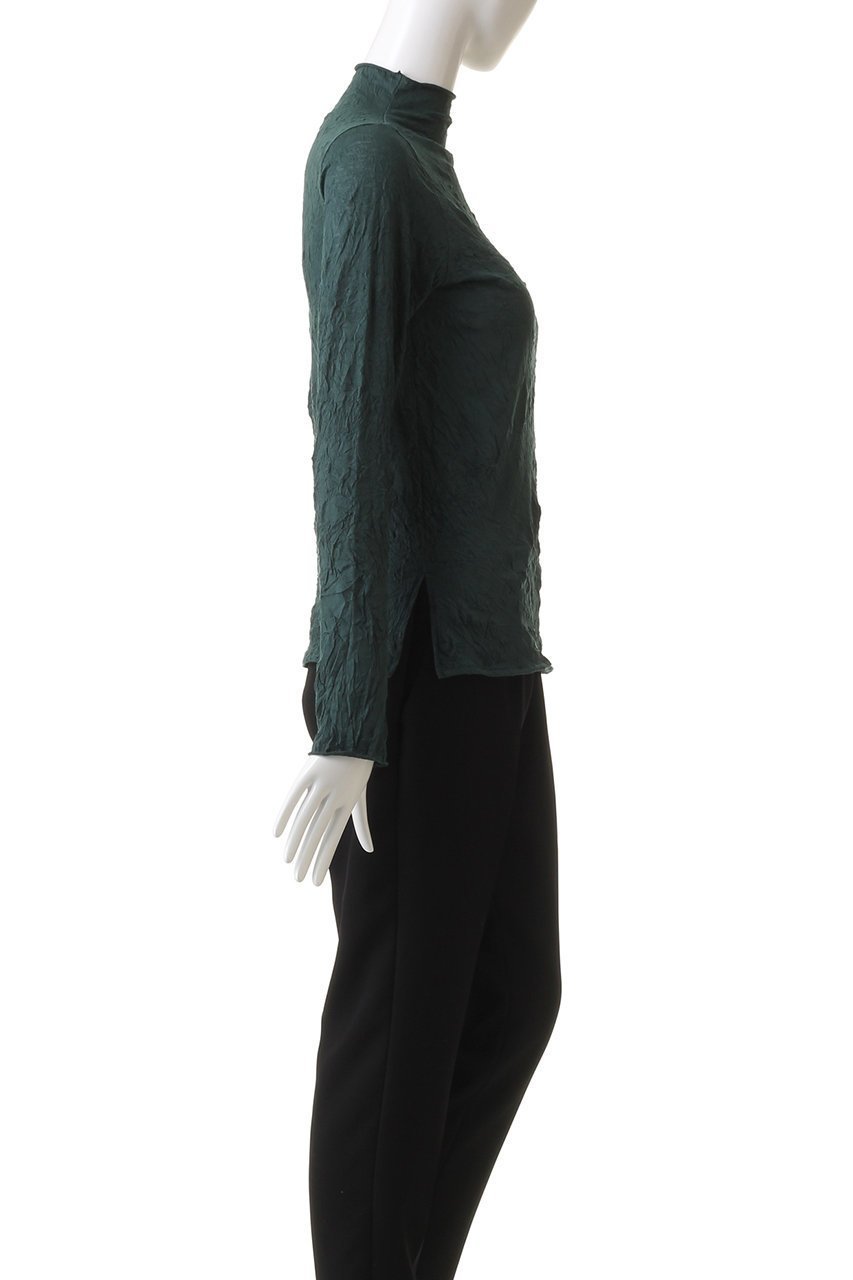 【ミディウミソリッド/MIDIUMISOLID】のsheer high neck inner インナー 人気、トレンドファッション・服の通販 founy(ファニー) 　ファッション　Fashion　レディースファッション　Fashion for Women　トップス・カットソー　Cut & Sew Tops　シャツ・ブラウス・オフィスカジュアル　Elegant Blouses & Button-Ups　ロングTシャツ・Tシャツ　Longline T-Shirts & Tees　カットソー・ベーシックTシャツ　Cut-and-Sewn Tops / Stretch Tees & Basics　インナー　Innerwear　キャミ　Camisole, Cami Top　スリット　Slit, Slit Detail　スリーブ　Sleeve, Long Sleeve / Short Sleeve　ビスチェ　Bustier, Corset Top　ロング　Long, Long-Length　人気　Popular, Best Seller　A/W・秋冬　Autumn/Winter　other-3|ID: prp329100004606216 ipo3291000000032841974