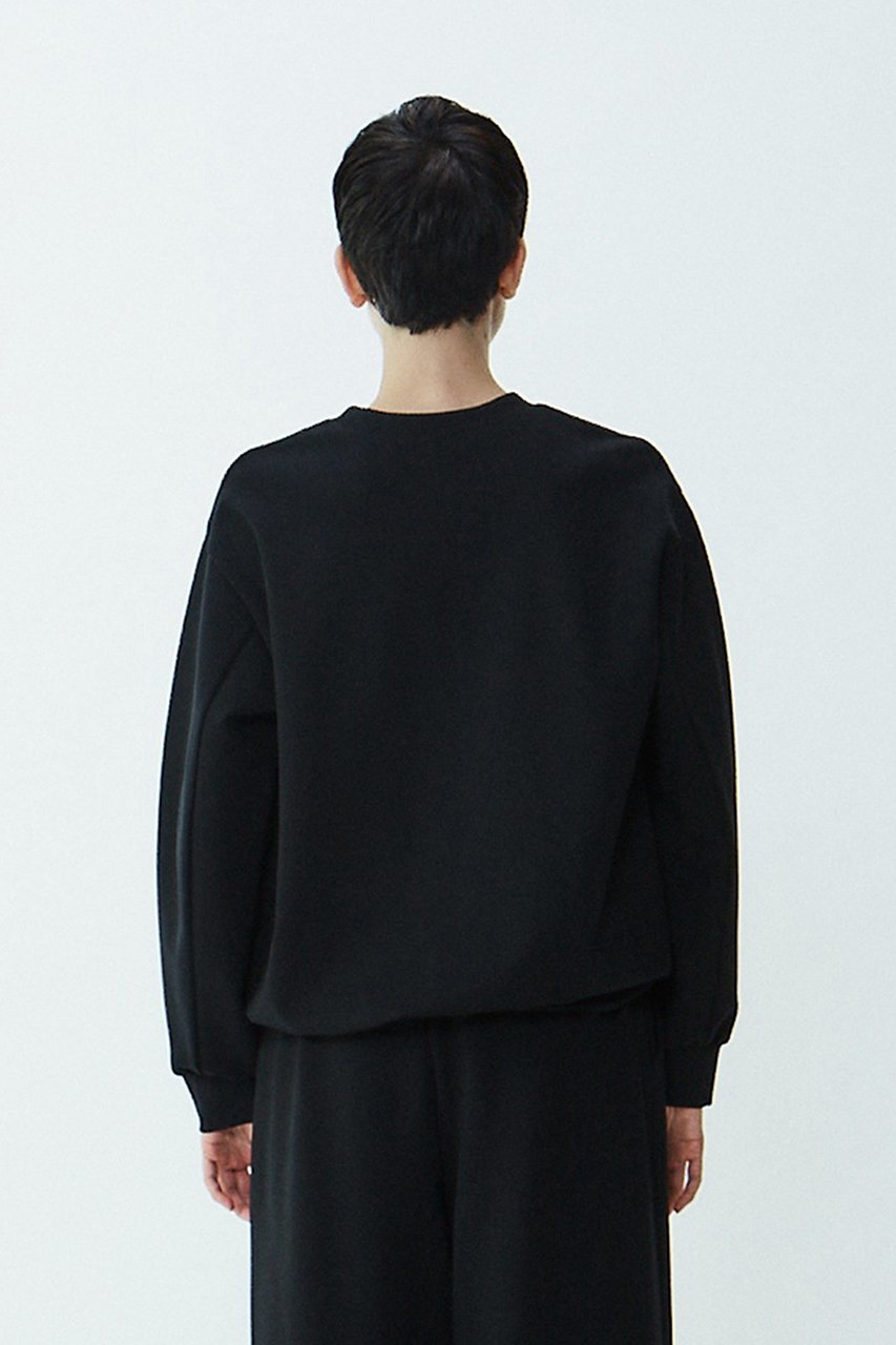 【プレインピープル/PLAIN PEOPLE】のフリースポンチクルーネックプルオーバー 人気、トレンドファッション・服の通販 founy(ファニー) 　ファッション　Fashion　レディースファッション　Fashion for Women　トップス・カットソー　Cut & Sew Tops　シャツ・ブラウス・オフィスカジュアル　Elegant Blouses & Button-Ups　ロングTシャツ・Tシャツ　Longline T-Shirts & Tees　カジュアルプルオーバー・ニットトップス　Pullovers & Knit Tops / Casual Pullovers　カットソー・ベーシックTシャツ　Cut-and-Sewn Tops / Stretch Tees & Basics　おすすめ　Recommended / Our Picks　ストレッチ　Stretch, Stretchy Fabric　スリーブ　Sleeve, Long Sleeve / Short Sleeve　セットアップ　Set-Up, Coordinated Outfit　プレーン　Plain, Simple　ロング　Long, Long-Length　other-4|ID: prp329100004607030 ipo3291000000032884179