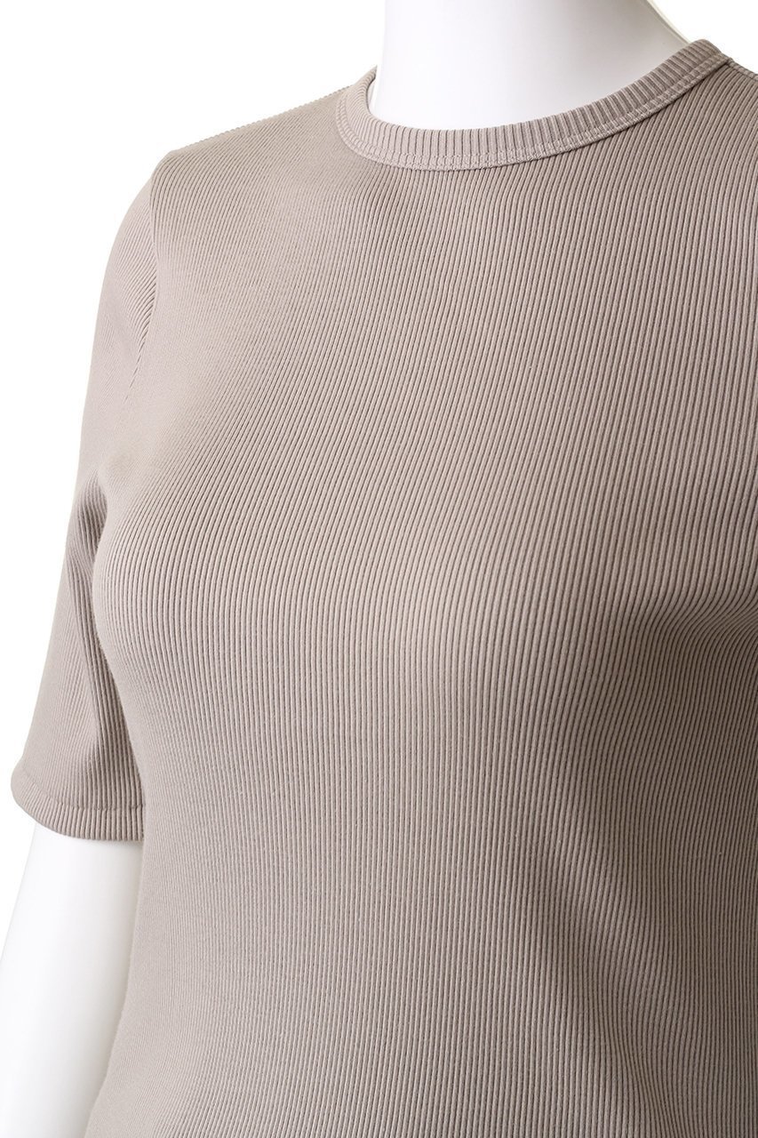 【マルティニーク/martinique】のリブTシャツ 人気、トレンドファッション・服の通販 founy(ファニー) 　ファッション　Fashion　レディースファッション　Fashion for Women　トップス・カットソー　Cut & Sew Tops　シャツ・ブラウス・オフィスカジュアル　Elegant Blouses & Button-Ups　ロングTシャツ・Tシャツ　Longline T-Shirts & Tees　カットソー・ベーシックTシャツ　Cut-and-Sewn Tops / Stretch Tees & Basics　おすすめ　Recommended / Our Picks　ショート　Short, Short Length　シンプル　Simple, Minimal　スリーブ　Sleeve, Long Sleeve / Short Sleeve　フィット　Fit, Slim Fit　半袖　Short Sleeve, Half Sleeve　other-5|ID: prp329100004607187 ipo3291000000032886971