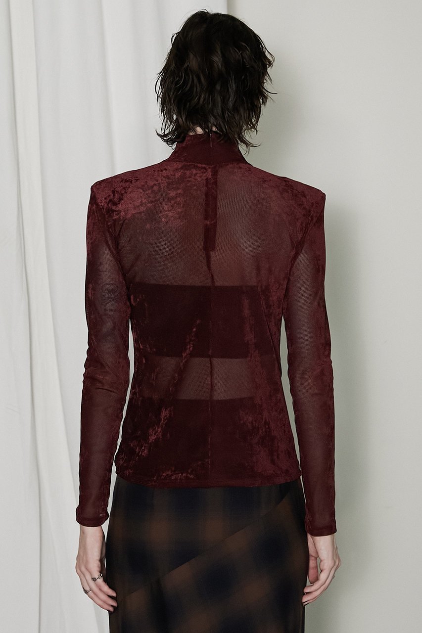 【プランク プロジェクト/PRANK PROJECT】のベロアメッシュタートルネック / Velour Mesh Turtleneck Top 人気、トレンドファッション・服の通販 founy(ファニー) 　ファッション　Fashion　レディースファッション　Fashion for Women　トップス・カットソー　Cut & Sew Tops　シャツ・ブラウス・オフィスカジュアル　Elegant Blouses & Button-Ups　ロングTシャツ・Tシャツ　Longline T-Shirts & Tees　カットソー・ベーシックTシャツ　Cut-and-Sewn Tops / Stretch Tees & Basics　ベロアトップス　Velour Tops / Velvet-Look Items　タートルネック・ハイネックトップス　Turtlenecks & High-Neck Tops　おすすめ　Recommended / Our Picks　インナー　Innerwear　シンプル　Simple, Minimal　ストレッチ　Stretch, Stretchy Fabric　スリーブ　Sleeve, Long Sleeve / Short Sleeve　ベロア　Velour, Soft Velvet　メッシュ　Mesh, Net Fabric　ロング　Long, Long-Length　A/W・秋冬　Autumn/Winter　other-6|ID: prp329100004607326 ipo3291000000032891318