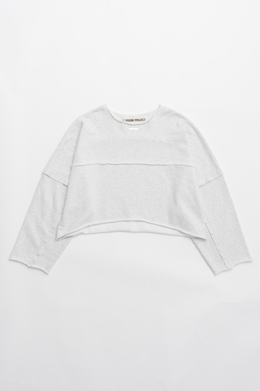 【プランク プロジェクト/PRANK PROJECT】のワイドオーバースウェット/Wide Over Sweatshirt インテリア・キッズ・メンズ・レディースファッション・服の通販 founy(ファニー) 　ファッション　Fashion　レディースファッション　Fashion for Women　トップス・カットソー　Cut & Sew Tops　シャツ・ブラウス・オフィスカジュアル　Elegant Blouses & Button-Ups　レディースパーカー・カジュアルフーディー　Casual Hoodies & Sweatshirts　ロングTシャツ・Tシャツ　Longline T-Shirts & Tees　スウェット・クルーネックトップス　Sweatshirts & Crewnecks / Relaxed Fit Sweat Tops　カットソー・ベーシックTシャツ　Cut-and-Sewn Tops / Stretch Tees & Basics　ケミカル　Chemical, Chemical Wash　ショート　Short, Short Length　ハンド　Hand, Handmade　バランス　Balance, Style Balance　ルーズ　Loose, Oversized　ワイド　Wide, Wide Fit　L.GRY(ライトグレー)|ID: prp329100004607335 ipo3291000000032891461