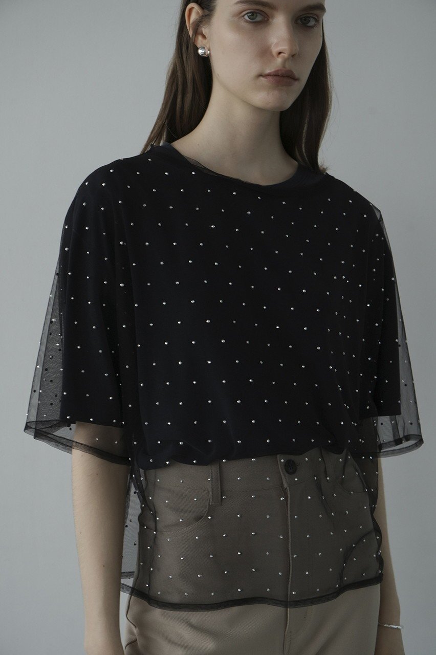 【クラネ/CLANE】のRHINESTONE SHEER TOPS Tシャツ/カットソー 人気、トレンドファッション・服の通販 founy(ファニー) 　ファッション　Fashion　レディースファッション　Fashion for Women　トップス・カットソー　Cut & Sew Tops　シャツ・ブラウス・オフィスカジュアル　Elegant Blouses & Button-Ups　ロングTシャツ・Tシャツ　Longline T-Shirts & Tees　カットソー・ベーシックTシャツ　Cut-and-Sewn Tops / Stretch Tees & Basics　カットソー　Cut and Sewn Top　ショート　Short, Short Length　シンプル　Simple, Minimal　ストーン　Stone, Gem-Like　スリーブ　Sleeve, Long Sleeve / Short Sleeve　ドット　Polka Dot, Dot Pattern　半袖　Short Sleeve, Half Sleeve　other-7|ID: prp329100004607924 ipo3291000000032914231