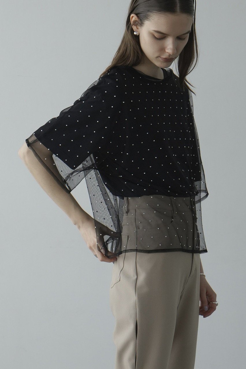 【クラネ/CLANE】のRHINESTONE SHEER TOPS Tシャツ/カットソー 人気、トレンドファッション・服の通販 founy(ファニー) 　ファッション　Fashion　レディースファッション　Fashion for Women　トップス・カットソー　Cut & Sew Tops　シャツ・ブラウス・オフィスカジュアル　Elegant Blouses & Button-Ups　ロングTシャツ・Tシャツ　Longline T-Shirts & Tees　カットソー・ベーシックTシャツ　Cut-and-Sewn Tops / Stretch Tees & Basics　カットソー　Cut and Sewn Top　ショート　Short, Short Length　シンプル　Simple, Minimal　ストーン　Stone, Gem-Like　スリーブ　Sleeve, Long Sleeve / Short Sleeve　ドット　Polka Dot, Dot Pattern　半袖　Short Sleeve, Half Sleeve　other-8|ID: prp329100004607924 ipo3291000000032914241