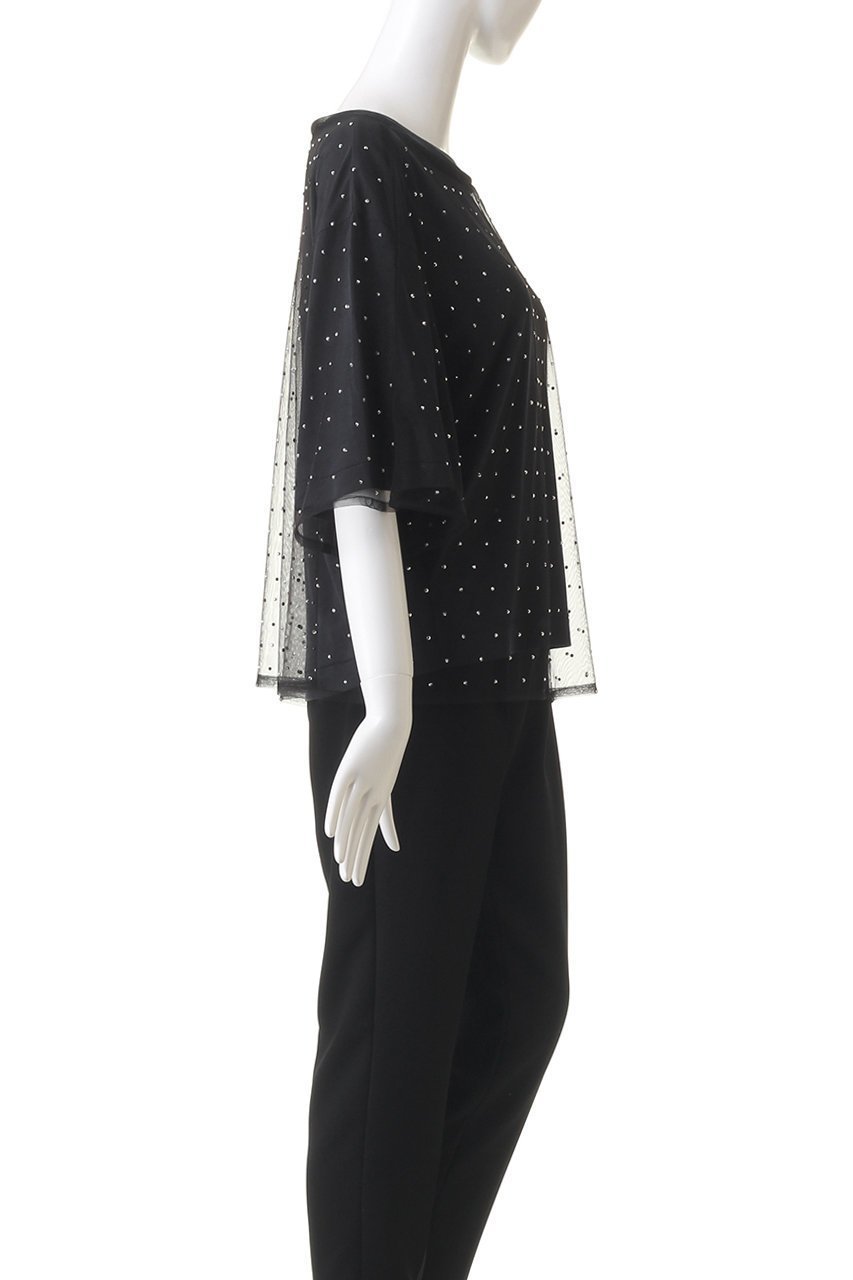 【クラネ/CLANE】のRHINESTONE SHEER TOPS Tシャツ/カットソー 人気、トレンドファッション・服の通販 founy(ファニー) 　ファッション　Fashion　レディースファッション　Fashion for Women　トップス・カットソー　Cut & Sew Tops　シャツ・ブラウス・オフィスカジュアル　Elegant Blouses & Button-Ups　ロングTシャツ・Tシャツ　Longline T-Shirts & Tees　カットソー・ベーシックTシャツ　Cut-and-Sewn Tops / Stretch Tees & Basics　カットソー　Cut and Sewn Top　ショート　Short, Short Length　シンプル　Simple, Minimal　ストーン　Stone, Gem-Like　スリーブ　Sleeve, Long Sleeve / Short Sleeve　ドット　Polka Dot, Dot Pattern　半袖　Short Sleeve, Half Sleeve　other-3|ID: prp329100004607924 ipo3291000000034954465