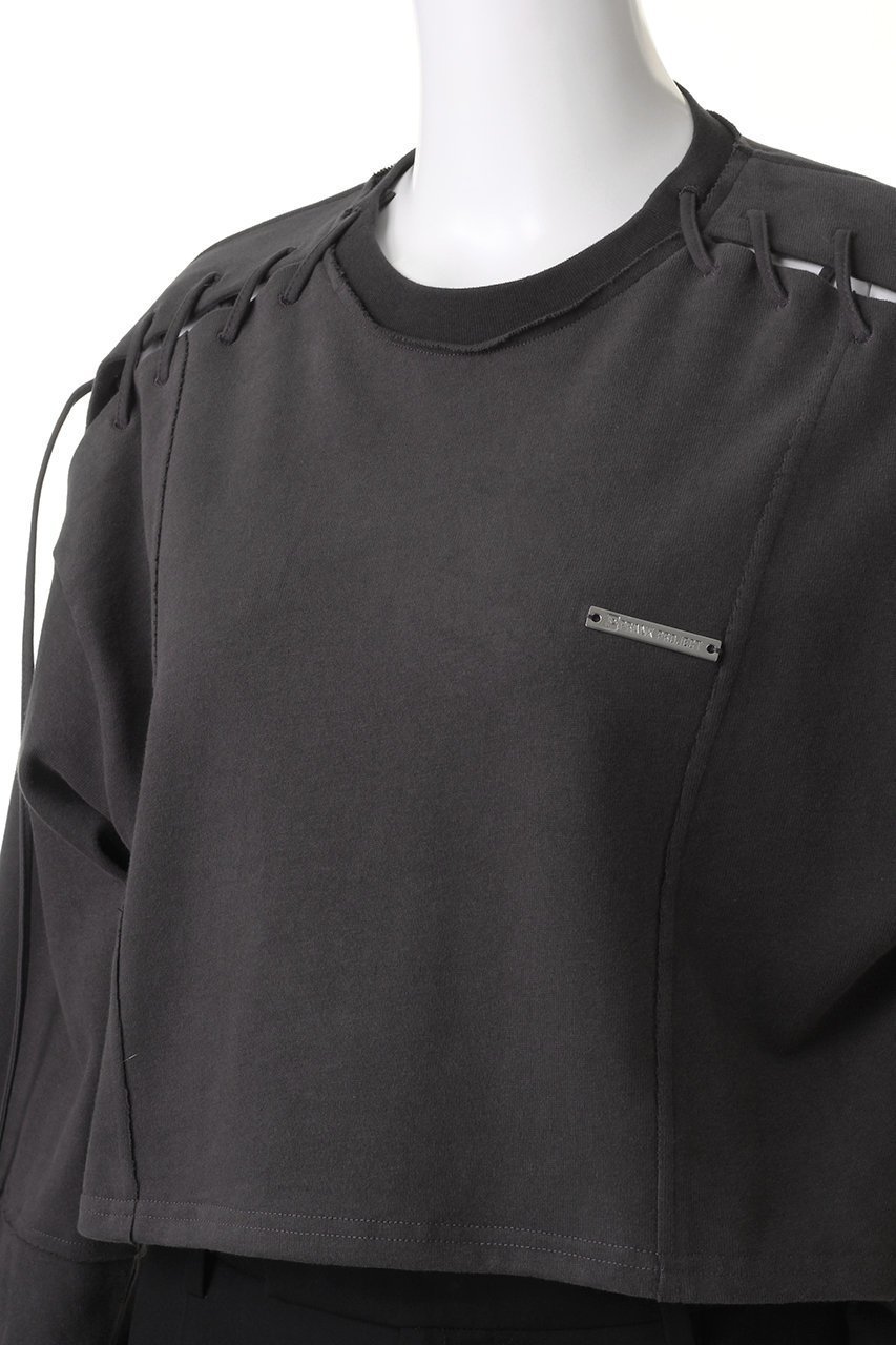 【プランク プロジェクト/PRANK PROJECT】のレースアップショートトップ / Lace-Up Short Top 人気、トレンドファッション・服の通販 founy(ファニー) 　ファッション　Fashion　レディースファッション　Fashion for Women　トップス・カットソー　Cut & Sew Tops　シャツ・ブラウス・オフィスカジュアル　Elegant Blouses & Button-Ups　ロングTシャツ・Tシャツ　Longline T-Shirts & Tees　カットソー・ベーシックTシャツ　Cut-and-Sewn Tops / Stretch Tees & Basics　おすすめ　Recommended / Our Picks　カットソー　Cut and Sewn Top　スリーブ　Sleeve, Long Sleeve / Short Sleeve　セットアップ　Set-Up, Coordinated Outfit　ピーチ　Peach, Soft Touch　レース　Lace, Lace Fabric　ロング　Long, Long-Length　other-5|ID: prp329100004607945 ipo3291000000032915228