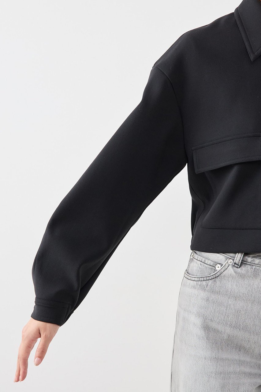 【マルティニーク/martinique】のクロップドブルゾン(セットアップ可) 人気、トレンドファッション・服の通販 founy(ファニー) 　ファッション　Fashion　レディースファッション　Fashion for Women　アウター　Coat / Outerwear Collection　レディースジャケット・軽アウター　Jackets　ブルゾンジャケット・スポーティアウター　Blouson Jackets　おすすめ　Recommended / Our Picks　クロップド　Cropped, Short Length　ジャケット　Jacket, Outerwear　セットアップ　Set-Up, Coordinated Outfit　バランス　Balance, Style Balance　フォルム　Silhouette, Form　ブルゾン　Blouson, Bomber Jacket　ペンシル　Pencil, Pencil Skirt　ワイド　Wide, Wide Fit　エレガント 上品　Elegant　other-5|ID: prp329100004608148 ipo3291000000032924098