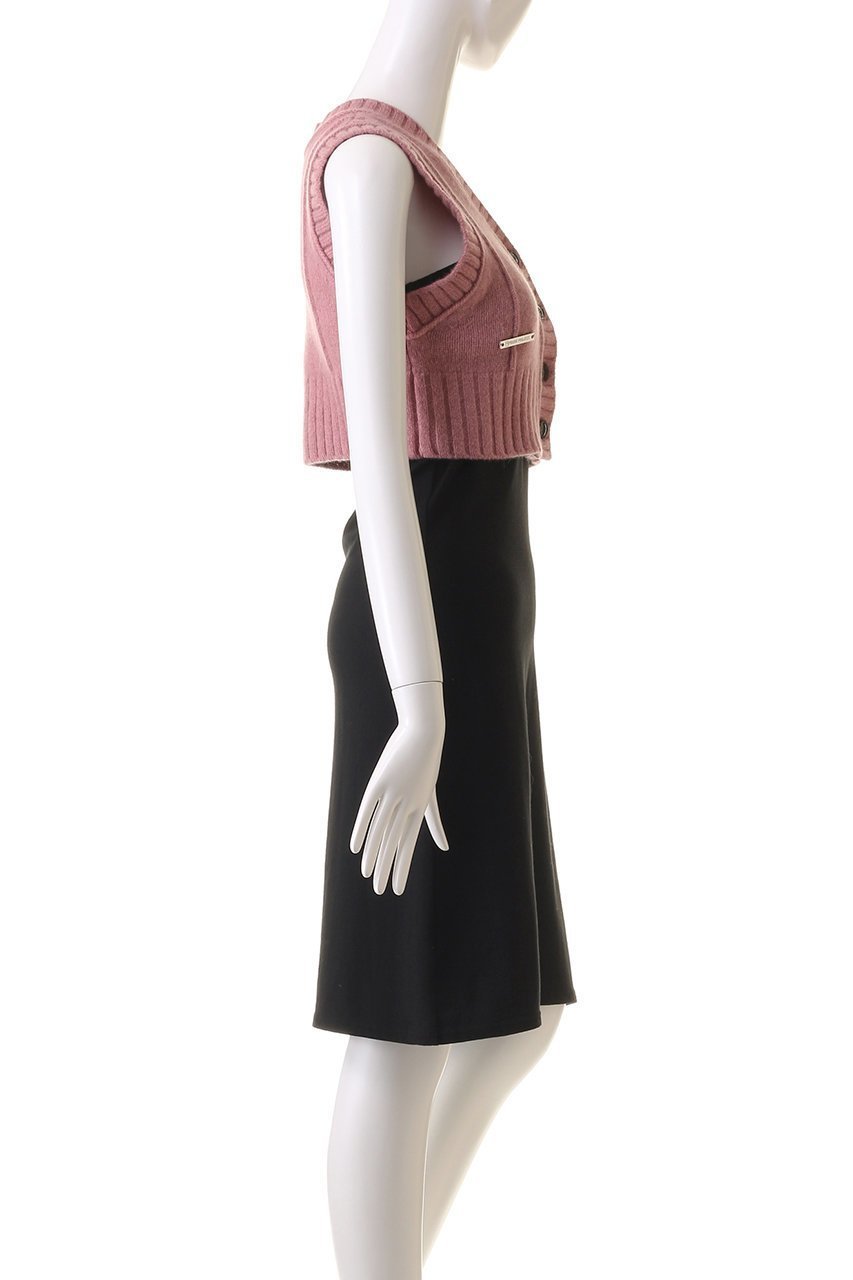【プランク プロジェクト/PRANK PROJECT】のタイニーベスト / Tiny Vest 人気、トレンドファッション・服の通販 founy(ファニー) 　ファッション　Fashion　レディースファッション　Fashion for Women　トップス・カットソー　Cut & Sew Tops　ニット　Knit Tops & Sweaters　ベスト&ジレ / 重ね着スタイル　Vests & Gilets　カジュアルプルオーバー・ニットトップス　Pullovers & Knit Tops / Casual Pullovers　おすすめ　Recommended / Our Picks　コンパクト　Compact, Small Size　ストライプ　Stripe, Striped Pattern　チェック　Check, Plaid, Tartan　プリーツ　Pleats, Pleated　ベスト　Vest, Waistcoat　マキシ　Maxi, Full Length　レース　Lace, Lace Fabric　other-3|ID: prp329100004608306 ipo3291000000032932496