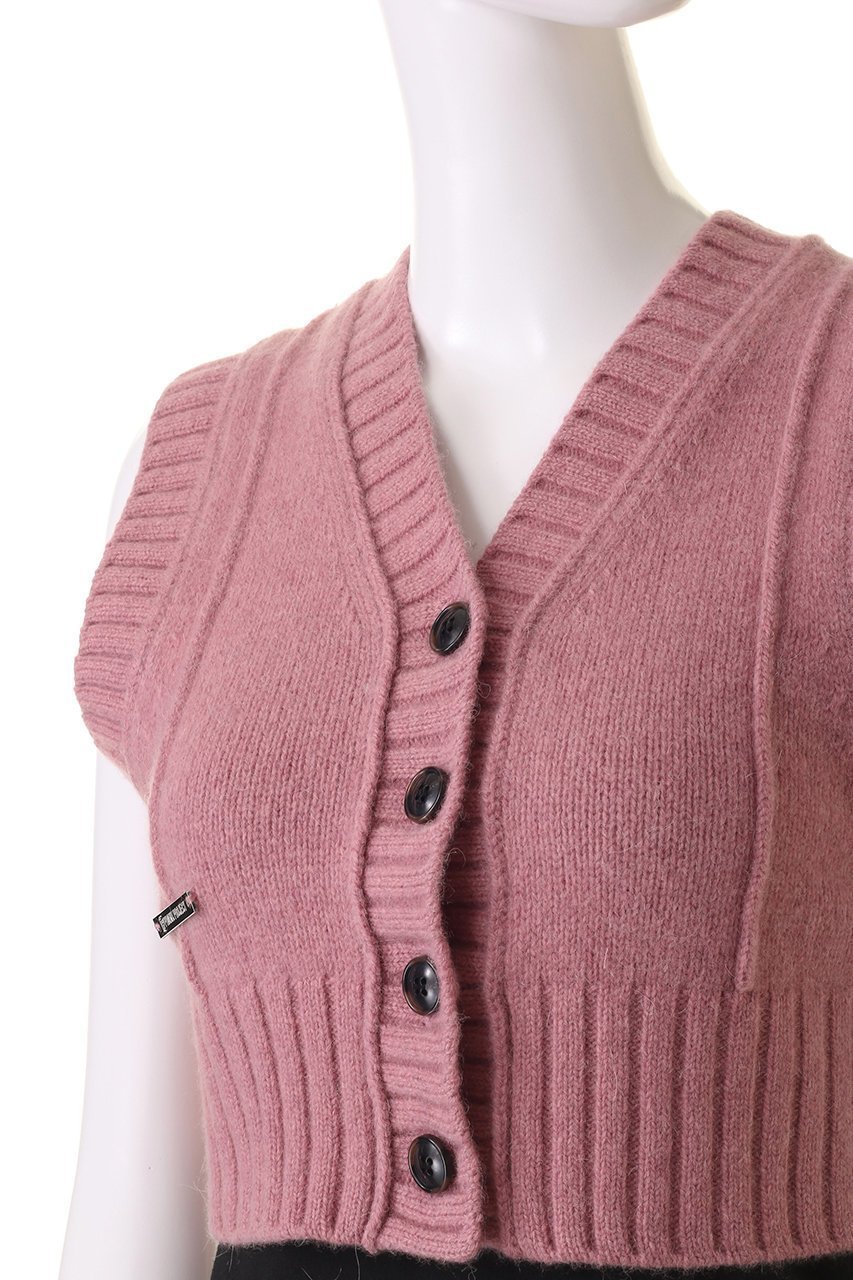 【プランク プロジェクト/PRANK PROJECT】のタイニーベスト / Tiny Vest 人気、トレンドファッション・服の通販 founy(ファニー) 　ファッション　Fashion　レディースファッション　Fashion for Women　トップス・カットソー　Cut & Sew Tops　ニット　Knit Tops & Sweaters　ベスト&ジレ / 重ね着スタイル　Vests & Gilets　カジュアルプルオーバー・ニットトップス　Pullovers & Knit Tops / Casual Pullovers　おすすめ　Recommended / Our Picks　コンパクト　Compact, Small Size　ストライプ　Stripe, Striped Pattern　チェック　Check, Plaid, Tartan　プリーツ　Pleats, Pleated　ベスト　Vest, Waistcoat　マキシ　Maxi, Full Length　レース　Lace, Lace Fabric　other-5|ID: prp329100004608306 ipo3291000000032932512