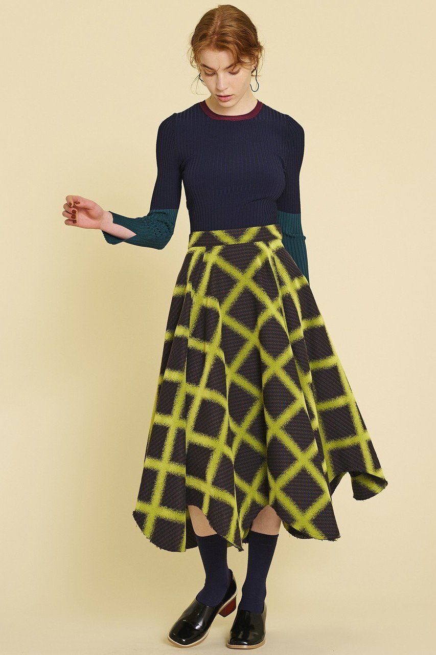 【ランバン オン ブルー/LANVIN en Bleu】のブラッシュドチェックフレアスカート 人気、トレンドファッション・服の通販 founy(ファニー) 　ファッション　Fashion　レディースファッション　Fashion for Women　スカート　Skirts　Aライン・フレアスカート　A-Line & Flared Skirts　ロングスカート　Long Skirts / Maxi & Midi Skirts　イタリア　Italy　ツイード／ツィード　Choker, Choker Necklace　ネオン　Neon, Neon Color　プリント　Print, Printed Pattern　ロング　Long, Long-Length　A/W・秋冬　Autumn/Winter　other-7|ID: prp329100004608588 ipo3291000000032943975