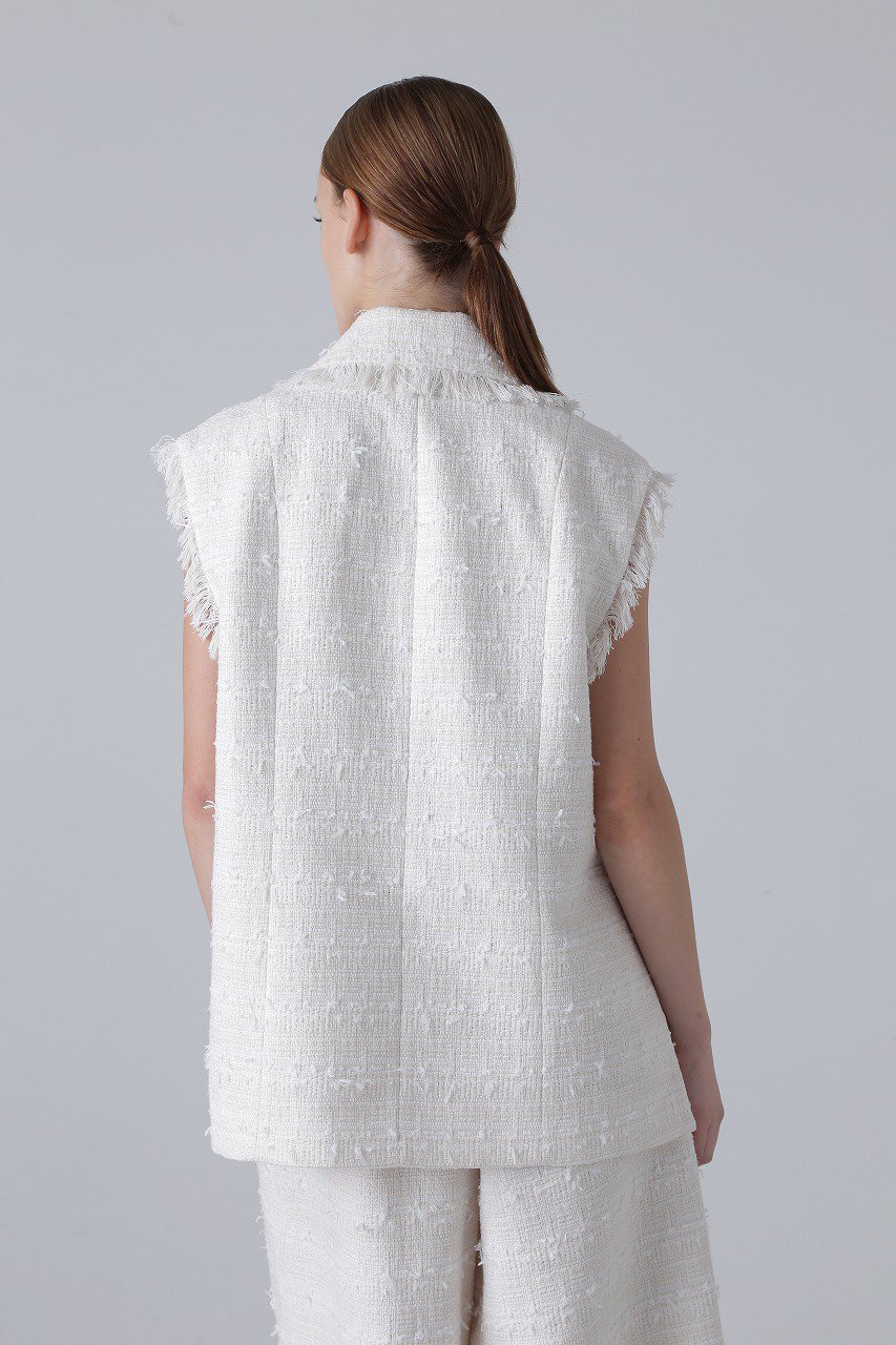 【アドーア/ADORE】のテープヤーンツィードジレ 人気、トレンドファッション・服の通販 founy(ファニー) 　ファッション　Fashion　レディースファッション　Fashion for Women　アウター　Coat / Outerwear Collection　レディースジャケット・軽アウター　Jackets　おすすめ　Recommended / Our Picks　ジャケット　Jacket, Outerwear　セットアップ　Set-Up, Coordinated Outfit　ツイード　Twill, Twill Weave　ベスト　Vest, Waistcoat　再入荷　Restock / Back in Stock　other-4|ID: prp329100004608621 ipo3291000000032945302