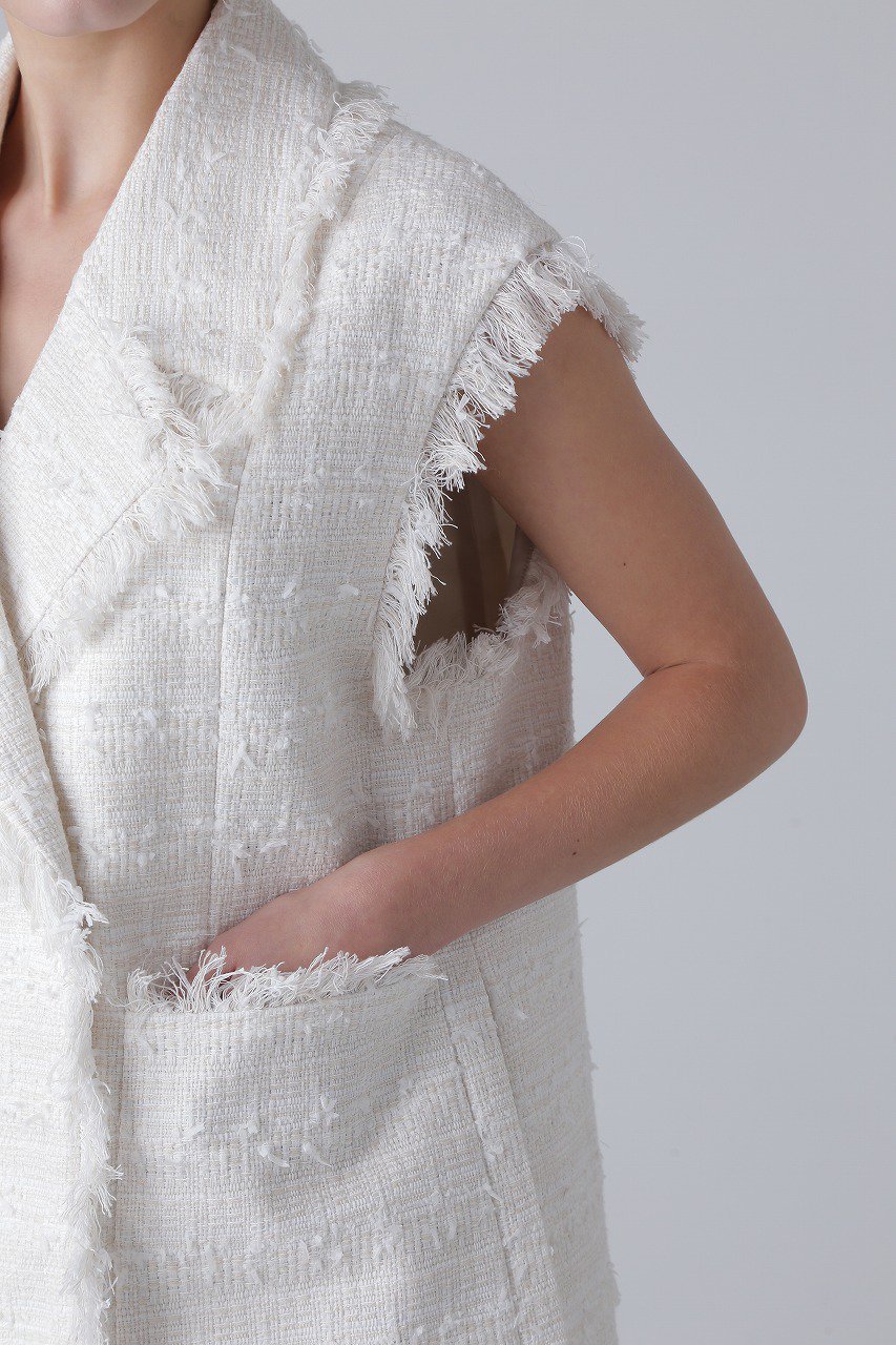 【アドーア/ADORE】のテープヤーンツィードジレ 人気、トレンドファッション・服の通販 founy(ファニー) 　ファッション　Fashion　レディースファッション　Fashion for Women　アウター　Coat / Outerwear Collection　レディースジャケット・軽アウター　Jackets　おすすめ　Recommended / Our Picks　ジャケット　Jacket, Outerwear　セットアップ　Set-Up, Coordinated Outfit　ツイード　Twill, Twill Weave　ベスト　Vest, Waistcoat　other-6|ID: prp329100004608621 ipo3291000000035696631