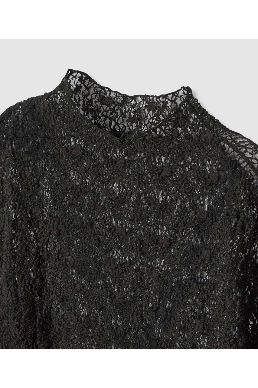 【アナイ/ANAYI】のストレッチレースモックネック プルオーバー 人気、トレンドファッション・服の通販 founy(ファニー) 　ファッション　Fashion　レディースファッション　Fashion for Women　トップス・カットソー　Cut & Sew Tops　シャツ・ブラウス・オフィスカジュアル　Elegant Blouses & Button-Ups　ロングTシャツ・Tシャツ　Longline T-Shirts & Tees　カジュアルプルオーバー・ニットトップス　Pullovers & Knit Tops / Casual Pullovers　カットソー・ベーシックTシャツ　Cut-and-Sewn Tops / Stretch Tees & Basics　おすすめ　Recommended / Our Picks　インナー　Innerwear　エアリー　Airy Texture　シアー　Sheer, See-Through　ジャケット　Jacket, Outerwear　スリーブ　Sleeve, Long Sleeve / Short Sleeve　フラワー　Flower, Floral　モチーフ　Motif, Design Theme　ロング　Long, Long-Length　other-3|ID: prp329100004608750 ipo3291000000032948465