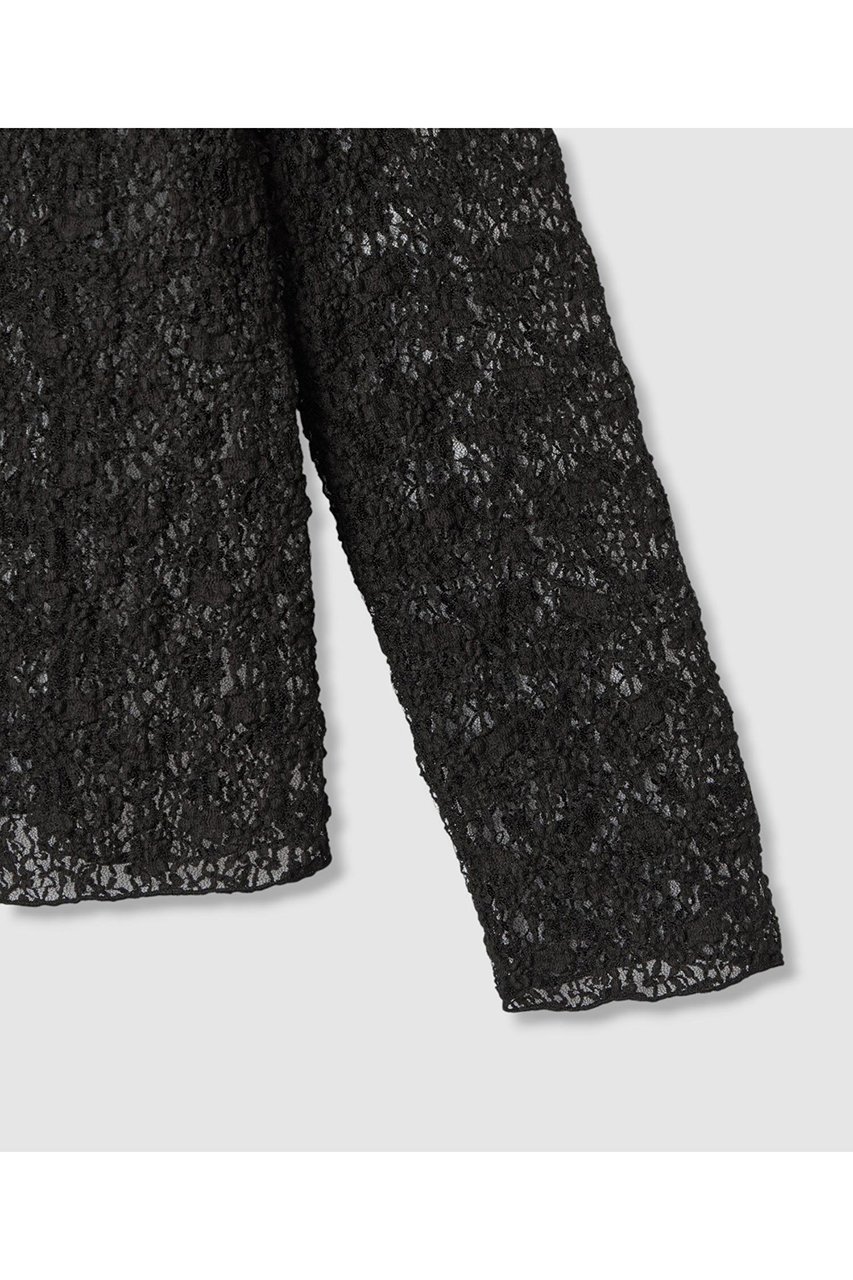 【アナイ/ANAYI】のストレッチレースモックネック プルオーバー 人気、トレンドファッション・服の通販 founy(ファニー) 　ファッション　Fashion　レディースファッション　Fashion for Women　トップス・カットソー　Cut & Sew Tops　シャツ・ブラウス・オフィスカジュアル　Elegant Blouses & Button-Ups　ロングTシャツ・Tシャツ　Longline T-Shirts & Tees　カジュアルプルオーバー・ニットトップス　Pullovers & Knit Tops / Casual Pullovers　カットソー・ベーシックTシャツ　Cut-and-Sewn Tops / Stretch Tees & Basics　おすすめ　Recommended / Our Picks　インナー　Innerwear　エアリー　Airy Texture　シアー　Sheer, See-Through　ジャケット　Jacket, Outerwear　スリーブ　Sleeve, Long Sleeve / Short Sleeve　フラワー　Flower, Floral　モチーフ　Motif, Design Theme　ロング　Long, Long-Length　other-4|ID: prp329100004608750 ipo3291000000032948474