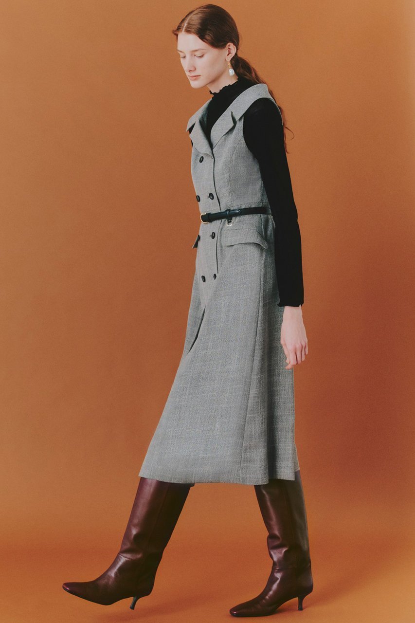 【アナイ/ANAYI】のチュールフロッキータートル プルオーバー 人気、トレンドファッション・服の通販 founy(ファニー) 　ファッション　Fashion　レディースファッション　Fashion for Women　トップス・カットソー　Cut & Sew Tops　シャツ・ブラウス・オフィスカジュアル　Elegant Blouses & Button-Ups　ロングTシャツ・Tシャツ　Longline T-Shirts & Tees　カジュアルプルオーバー・ニットトップス　Pullovers & Knit Tops / Casual Pullovers　カットソー・ベーシックTシャツ　Cut-and-Sewn Tops / Stretch Tees & Basics　おすすめ　Recommended / Our Picks　インナー　Innerwear　カットソー　Cut and Sewn Top　シアー　Sheer, See-Through　スタンド　Stand Collar, Upright Stand　ストレッチ　Stretch, Stretchy Fabric　スリーブ　Sleeve, Long Sleeve / Short Sleeve　ベロア　Velour, Soft Velvet　ロング　Long, Long-Length　秋　Autumn　other-3|ID: prp329100004608753 ipo3291000000035964015