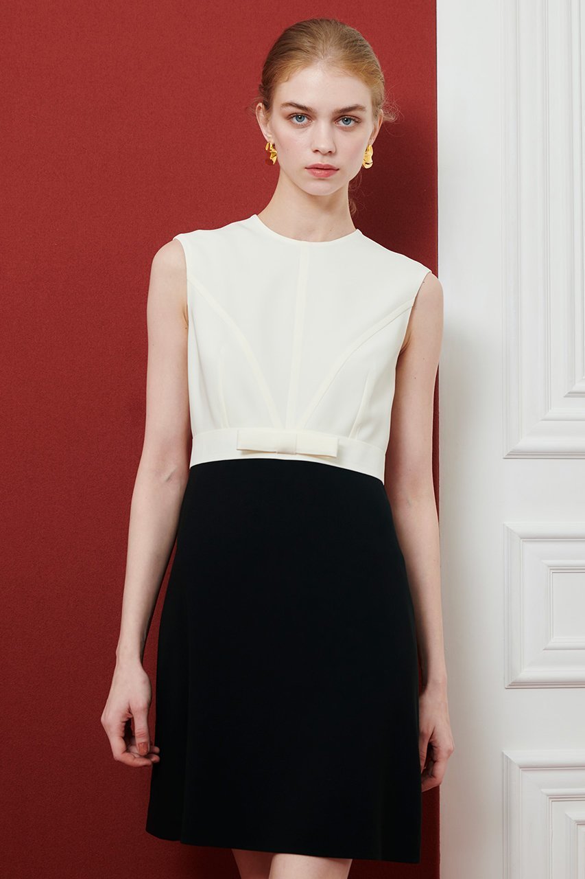 【アルアバイル/allureville】の【Loulou Willoughby】バイカラーリボンワンピース 人気、トレンドファッション・服の通販 founy(ファニー) 　ファッション　Fashion　レディースファッション　Fashion for Women　ワンピース　Dresses　チュニック　Tunic Tops & Dresses　おすすめ　Recommended / Our Picks　チュニック　Tunic, Long Top　リボン　Ribbon, Bow　エレガント 上品　Elegant　other-5|ID: prp329100004608791 ipo3291000000035964070