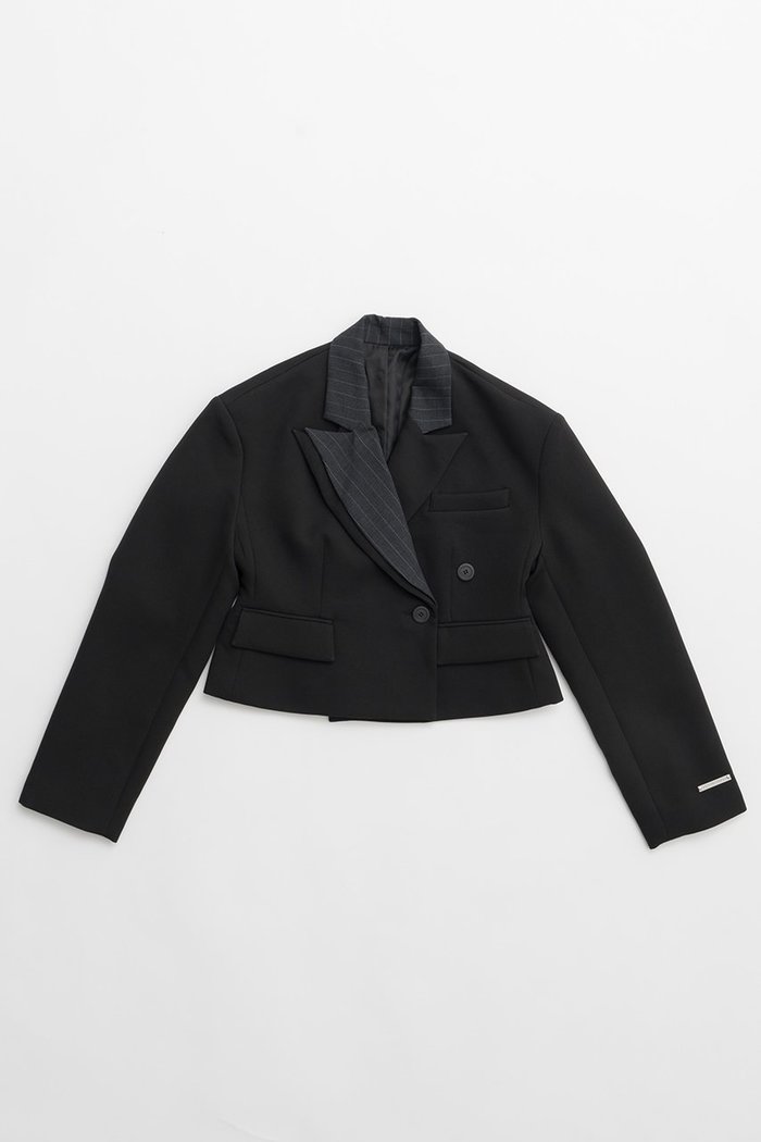 【プランク プロジェクト/PRANK PROJECT】のダブルカラーショートジャケット / Double Collar Short Jacket インテリア・キッズ・メンズ・レディースファッション・服の通販 founy(ファニー) https://founy.com/ ファッション Fashion レディースファッション Fashion for Women アウター Coat / Outerwear Collection レディースジャケット・軽アウター Jackets ショート Short, Short Length ジャケット Jacket, Outerwear ストライプ Stripe, Striped Pattern ストレッチ Stretch, Stretchy Fabric バランス Balance, Style Balance エレガント 上品 Elegant |ID: prp329100004608836 ipo3291000000035837928