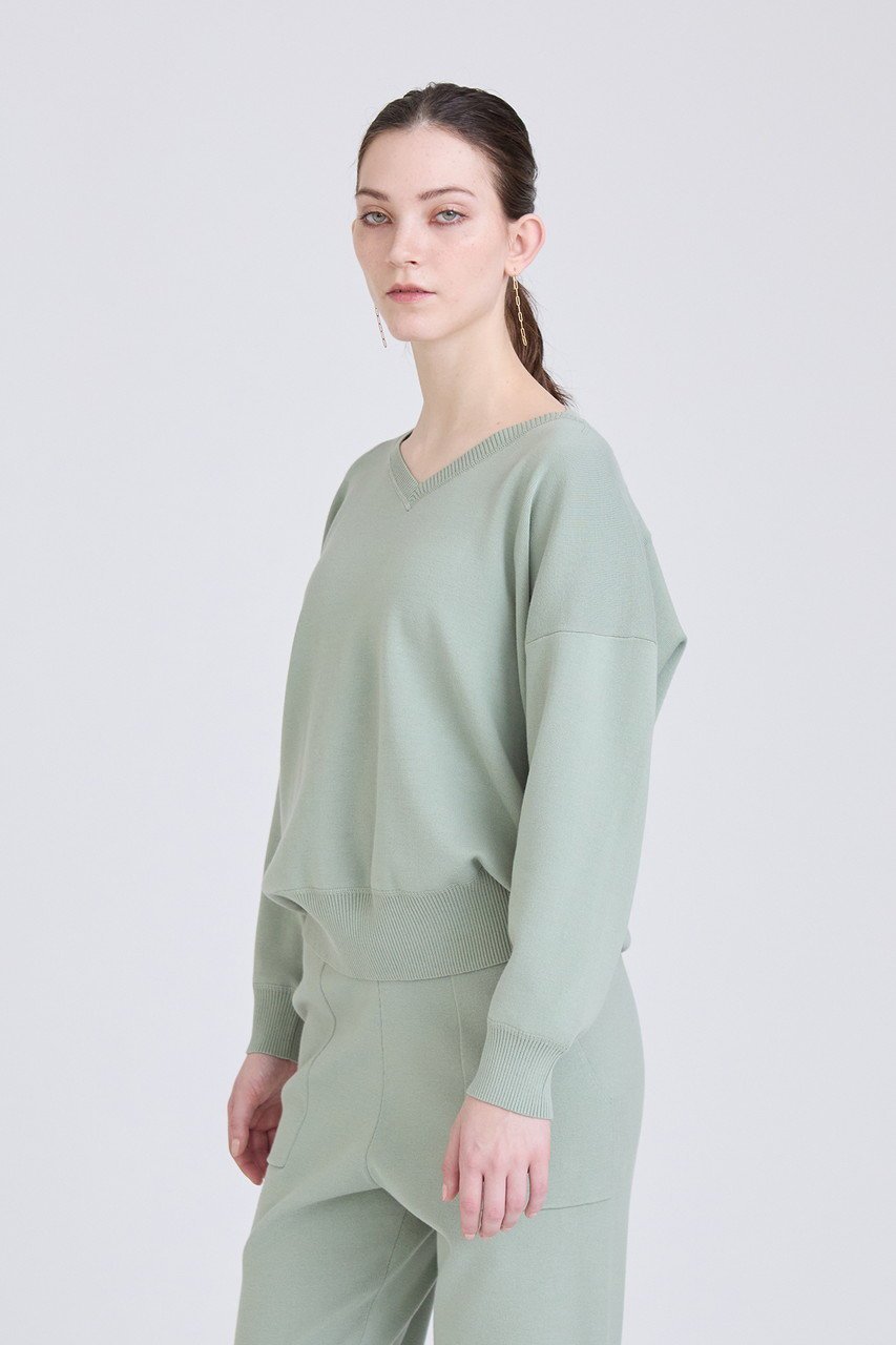 【ハウス オブ ロータス/HOUSE OF LOTUS】のオーガニックコットンVネックプルオーバー 人気、トレンドファッション・服の通販 founy(ファニー) 　ファッション　Fashion　レディースファッション　Fashion for Women　トップス・カットソー　Cut & Sew Tops　ニット　Knit Tops & Sweaters　カジュアルプルオーバー・ニットトップス　Pullovers & Knit Tops / Casual Pullovers　Vネックトップス　V-Neck Tops / V-Cut Neckline Shirts　プリント　Print, Printed Pattern　ボトム　Bottoms, Lower Wear　other-7|ID: prp329100004608885 ipo3291000000035690804