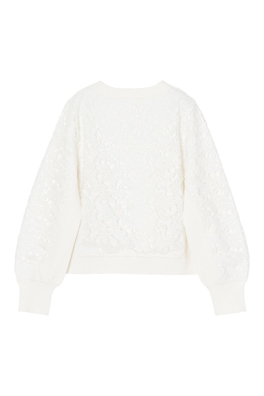 【アナイ/ANAYI】のフイユレース プルオーバー 人気、トレンドファッション・服の通販 founy(ファニー) 　ファッション　Fashion　レディースファッション　Fashion for Women　トップス・カットソー　Cut & Sew Tops　ニット　Knit Tops & Sweaters　カジュアルプルオーバー・ニットトップス　Pullovers & Knit Tops / Casual Pullovers　コンパクト　Compact, Small Size　シェイプ　Shape, Slim Fit　パターン　Pattern, Design Print　モチーフ　Motif, Design Theme　レース　Lace, Lace Fabric　秋　Autumn　other-2|ID: prp329100004608989 ipo3291000000032958073
