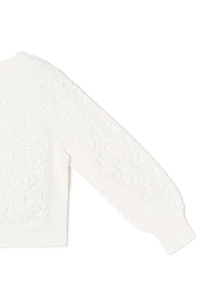 【アナイ/ANAYI】のフイユレース プルオーバー 人気、トレンドファッション・服の通販 founy(ファニー) 　ファッション　Fashion　レディースファッション　Fashion for Women　トップス・カットソー　Cut & Sew Tops　ニット　Knit Tops & Sweaters　カジュアルプルオーバー・ニットトップス　Pullovers & Knit Tops / Casual Pullovers　コンパクト　Compact, Small Size　シェイプ　Shape, Slim Fit　パターン　Pattern, Design Print　モチーフ　Motif, Design Theme　レース　Lace, Lace Fabric　秋　Autumn　other-4|ID: prp329100004608989 ipo3291000000032958081