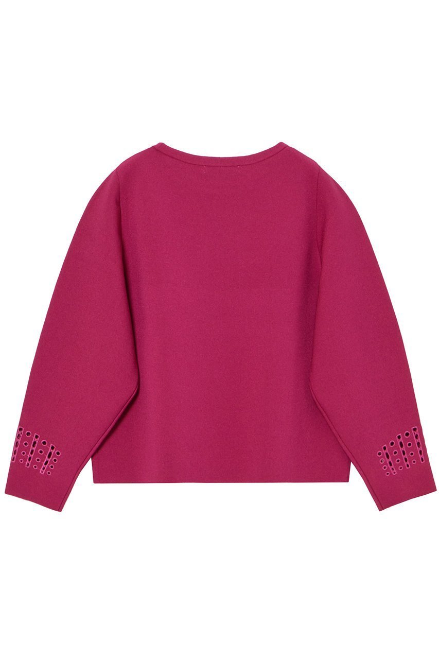 【アナイ/ANAYI】のドットカットワークショートプルオーバー 人気、トレンドファッション・服の通販 founy(ファニー) 　ファッション　Fashion　レディースファッション　Fashion for Women　トップス・カットソー　Cut & Sew Tops　ニット　Knit Tops & Sweaters　カジュアルプルオーバー・ニットトップス　Pullovers & Knit Tops / Casual Pullovers　おすすめ　Recommended / Our Picks　なめらか　Smooth, Silky Texture　ショート　Short, Short Length　シルク　Silk, 100% Silk　シンプル　Simple, Minimal　ストレッチ　Stretch, Stretchy Fabric　スペシャル　Special, Limited Edition　ドット　Polka Dot, Dot Pattern　パターン　Pattern, Design Print　モダン　Modern, Contemporary　ワーク　Workwear, Utility Style　other-2|ID: prp329100004608993 ipo3291000000036028750