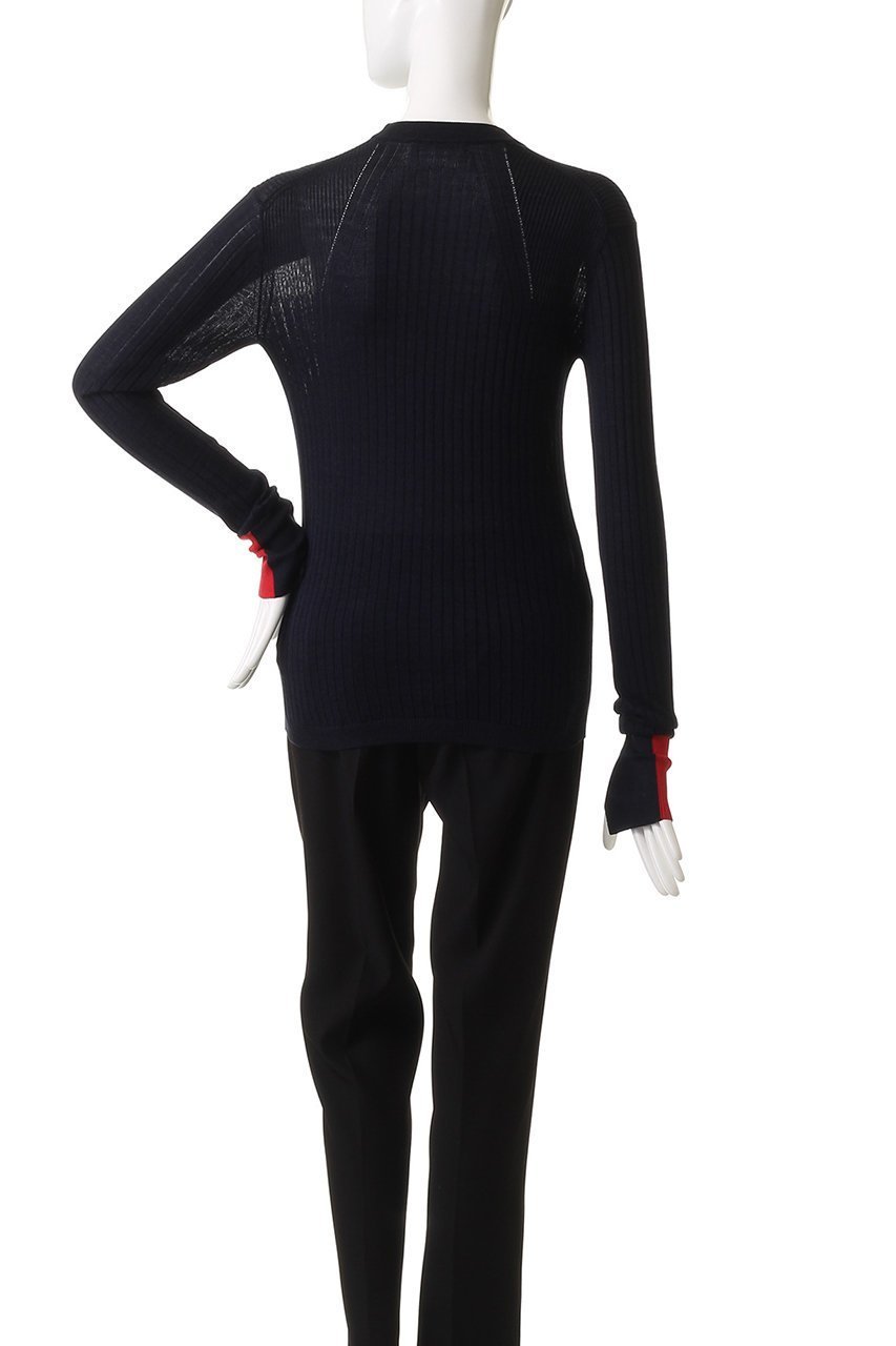 【チノ/CINOH】のシルク クルーネック タイト ニット 人気、トレンドファッション・服の通販 founy(ファニー) 　ファッション　Fashion　レディースファッション　Fashion for Women　トップス・カットソー　Cut & Sew Tops　ニット　Knit Tops & Sweaters　カジュアルプルオーバー・ニットトップス　Pullovers & Knit Tops / Casual Pullovers　2025年　2025　2025-2026秋冬・A/W　Autumn/Winter 2025–26 AW25–26　インナー　Innerwear　ウォッシャブル　Machine Washable　コンパクト　Compact, Small Size　シルク　Silk, 100% Silk　ストレート　Straight, Straight Cut　トレンド　Trend, Trending Now　ボトム　Bottoms, Lower Wear　A/W・秋冬　Autumn/Winter　other-4|ID: prp329100004615019 ipo3291000000033048298