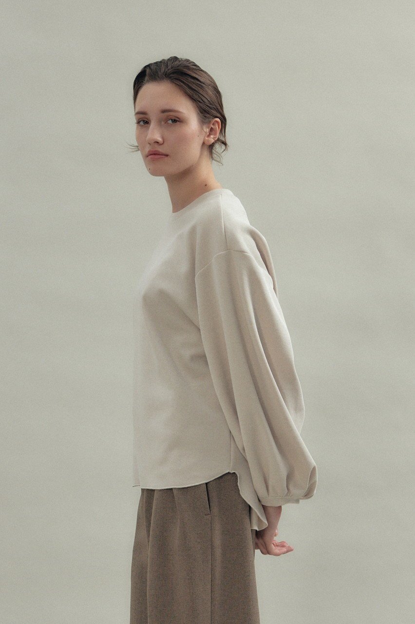 【フローレント/FLORENT】のボリューム スリーブ プルオーバー 人気、トレンドファッション・服の通販 founy(ファニー) 　ファッション　Fashion　レディースファッション　Fashion for Women　トップス・カットソー　Cut & Sew Tops　シャツ・ブラウス・オフィスカジュアル　Elegant Blouses & Button-Ups　ロングTシャツ・Tシャツ　Longline T-Shirts & Tees　カジュアルプルオーバー・ニットトップス　Pullovers & Knit Tops / Casual Pullovers　カットソー・ベーシックTシャツ　Cut-and-Sewn Tops / Stretch Tees & Basics　2025年　2025　2025-2026秋冬・A/W　Autumn/Winter 2025–26 AW25–26　スリーブ　Sleeve, Long Sleeve / Short Sleeve　ボトム　Bottoms, Lower Wear　リラックス　Relax, Relaxed Fit　ロング　Long, Long-Length　A/W・秋冬　Autumn/Winter　other-7|ID: prp329100004620189 ipo3291000000033138132