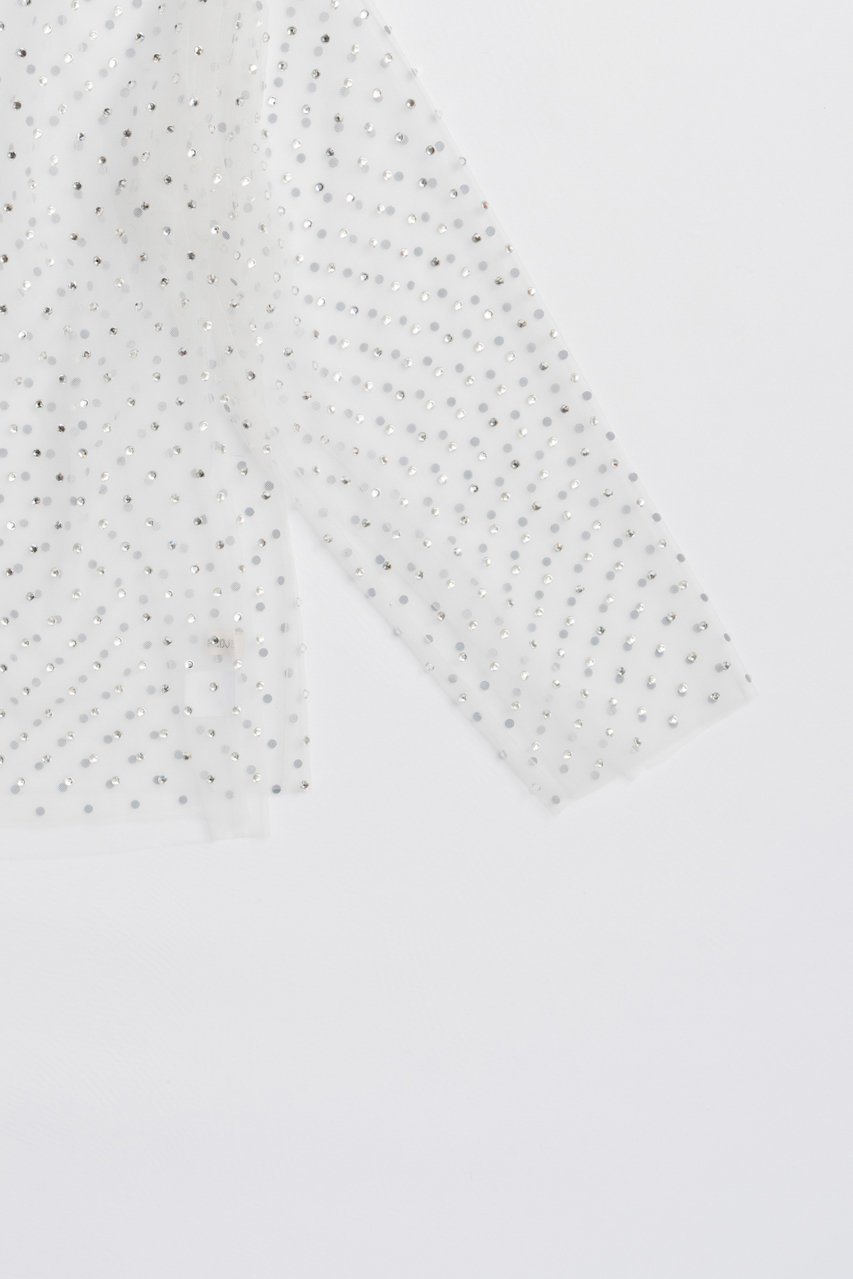 【プランク プロジェクト/PRANK PROJECT】のチュールビジューオーバートップ / Tulle Bead Over Top 人気、トレンドファッション・服の通販 founy(ファニー) 　ファッション　Fashion　レディースファッション　Fashion for Women　トップス・カットソー　Cut & Sew Tops　シャツ・ブラウス・オフィスカジュアル　Elegant Blouses & Button-Ups　2025年　2025　2025-2026秋冬・A/W　Autumn/Winter 2025–26 AW25–26　シアー　Sheer, See-Through　ストーン　Stone, Gem-Like　スリーブ　Sleeve, Long Sleeve / Short Sleeve　チュール　Tulip, Tulip Motif　フェミニン　Feminine, Girly　プリント　Print, Printed Pattern　ロング　Long, Long-Length　A/W・秋冬　Autumn/Winter　other-2|ID: prp329100004622125 ipo3291000000033169553