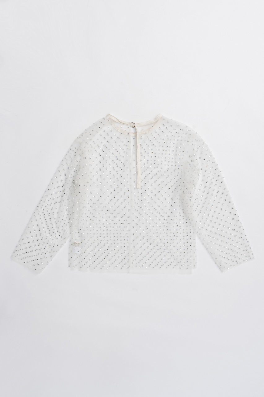 【プランク プロジェクト/PRANK PROJECT】のチュールビジューオーバートップ / Tulle Bead Over Top 人気、トレンドファッション・服の通販 founy(ファニー) 　ファッション　Fashion　レディースファッション　Fashion for Women　トップス・カットソー　Cut & Sew Tops　シャツ・ブラウス・オフィスカジュアル　Elegant Blouses & Button-Ups　2025年　2025　2025-2026秋冬・A/W　Autumn/Winter 2025–26 AW25–26　シアー　Sheer, See-Through　ストーン　Stone, Gem-Like　スリーブ　Sleeve, Long Sleeve / Short Sleeve　チュール　Tulip, Tulip Motif　フェミニン　Feminine, Girly　プリント　Print, Printed Pattern　ロング　Long, Long-Length　A/W・秋冬　Autumn/Winter　other-4|ID: prp329100004622125 ipo3291000000033169555