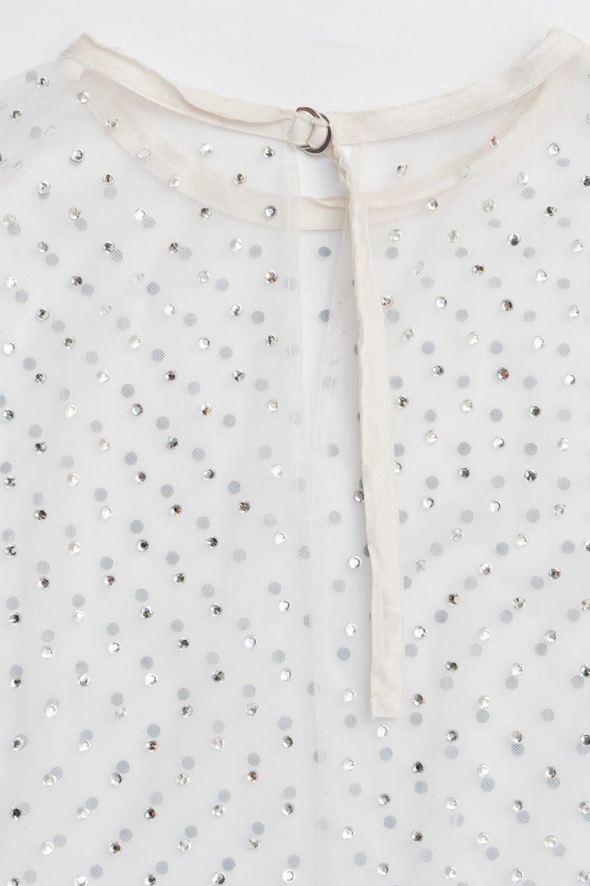 【プランク プロジェクト/PRANK PROJECT】のチュールビジューオーバートップ / Tulle Bead Over Top 人気、トレンドファッション・服の通販 founy(ファニー) 　ファッション　Fashion　レディースファッション　Fashion for Women　トップス・カットソー　Cut & Sew Tops　シャツ・ブラウス・オフィスカジュアル　Elegant Blouses & Button-Ups　2025年　2025　2025-2026秋冬・A/W　Autumn/Winter 2025–26 AW25–26　シアー　Sheer, See-Through　ストーン　Stone, Gem-Like　スリーブ　Sleeve, Long Sleeve / Short Sleeve　チュール　Tulip, Tulip Motif　フェミニン　Feminine, Girly　プリント　Print, Printed Pattern　ロング　Long, Long-Length　A/W・秋冬　Autumn/Winter　other-5|ID: prp329100004622125 ipo3291000000033169557