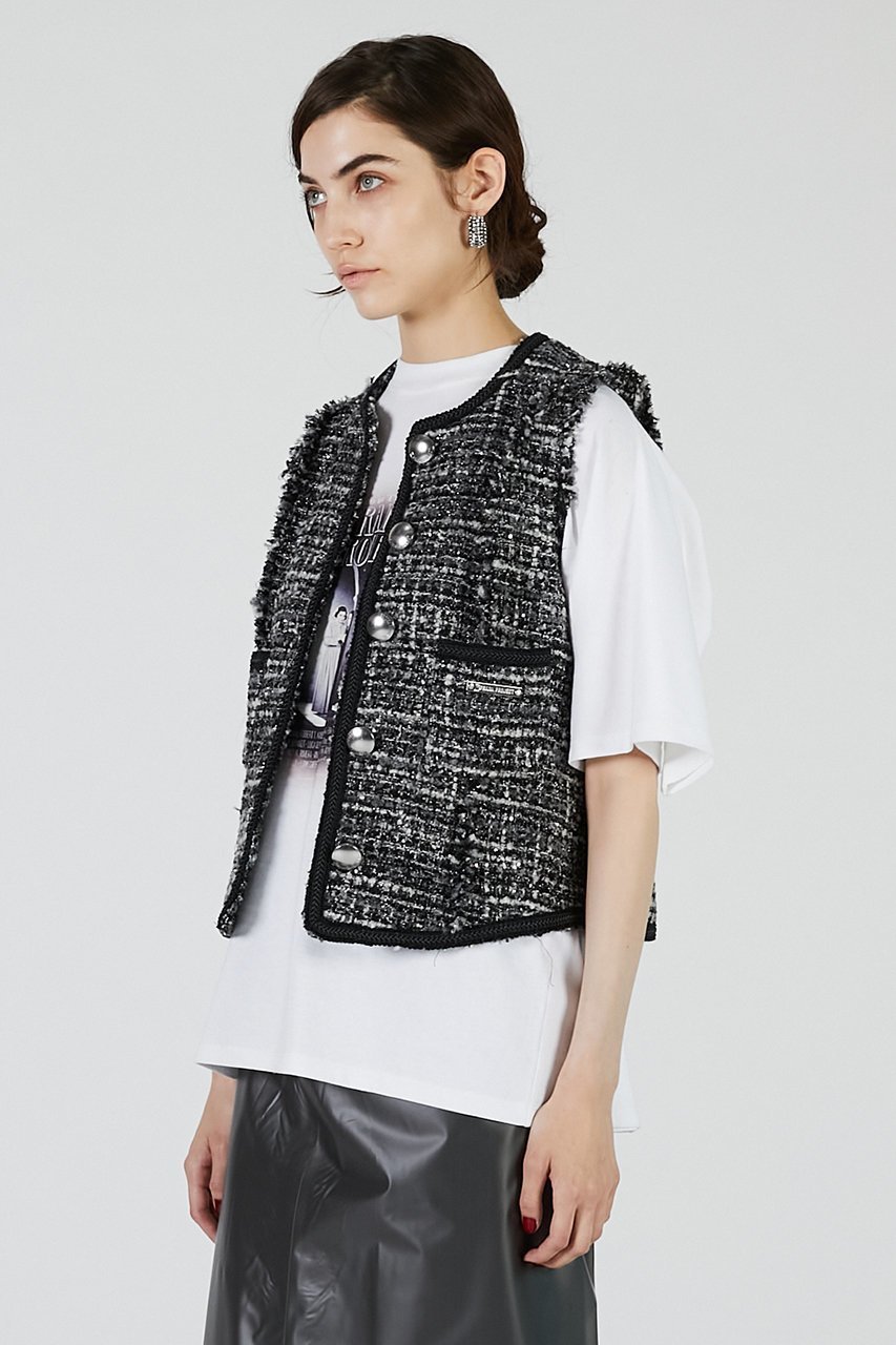 【プランク プロジェクト/PRANK PROJECT】のツイードベスト / Tweed Vest 人気、トレンドファッション・服の通販 founy(ファニー) 　ファッション　Fashion　レディースファッション　Fashion for Women　アウター　Coat / Outerwear Collection　レディースジャケット・軽アウター　Jackets　2025年　2025　2025-2026秋冬・A/W　Autumn/Winter 2025–26 AW25–26　おすすめ　Recommended / Our Picks　インナー　Innerwear　コンパクト　Compact, Small Size　ジャケット　Jacket, Outerwear　スパンコール　Sequins, Sequin Embellishment　タートルネック　Turtleneck, High Neck　ツイード　Twill, Twill Weave　ノースリーブ　Sleeveless, No-Sleeve　ベスト　Vest, Waistcoat　ミックス　Mix, Mixed Style　A/W・秋冬　Autumn/Winter　other-3|ID: prp329100004622162 ipo3291000000033169943