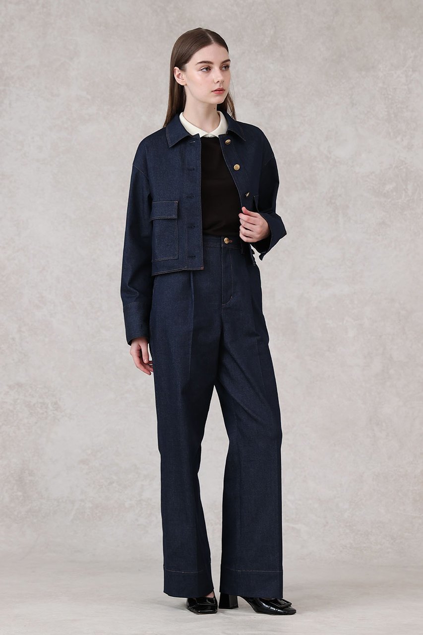 【アナイ/ANAYI】のデニムライクステンカラー ジャケット 人気、トレンドファッション・服の通販 founy(ファニー) 　ファッション　Fashion　レディースファッション　Fashion for Women　アウター　Coat / Outerwear Collection　レディースジャケット・軽アウター　Jackets　2025年　2025　2025-2026秋冬・A/W　Autumn/Winter 2025–26 AW25–26　カフス　Cuff Design　ジャケット　Jacket, Outerwear　ストレッチ　Stretch, Stretchy Fabric　ツイル　Twist, Twisted Detail　デニム　Denim, Jeans Material　ブルゾン　Blouson, Bomber Jacket　ポケット　Pocket, Pocket Detail　A/W・秋冬　Autumn/Winter　other-8|ID: prp329100004622173 ipo3291000000033170055