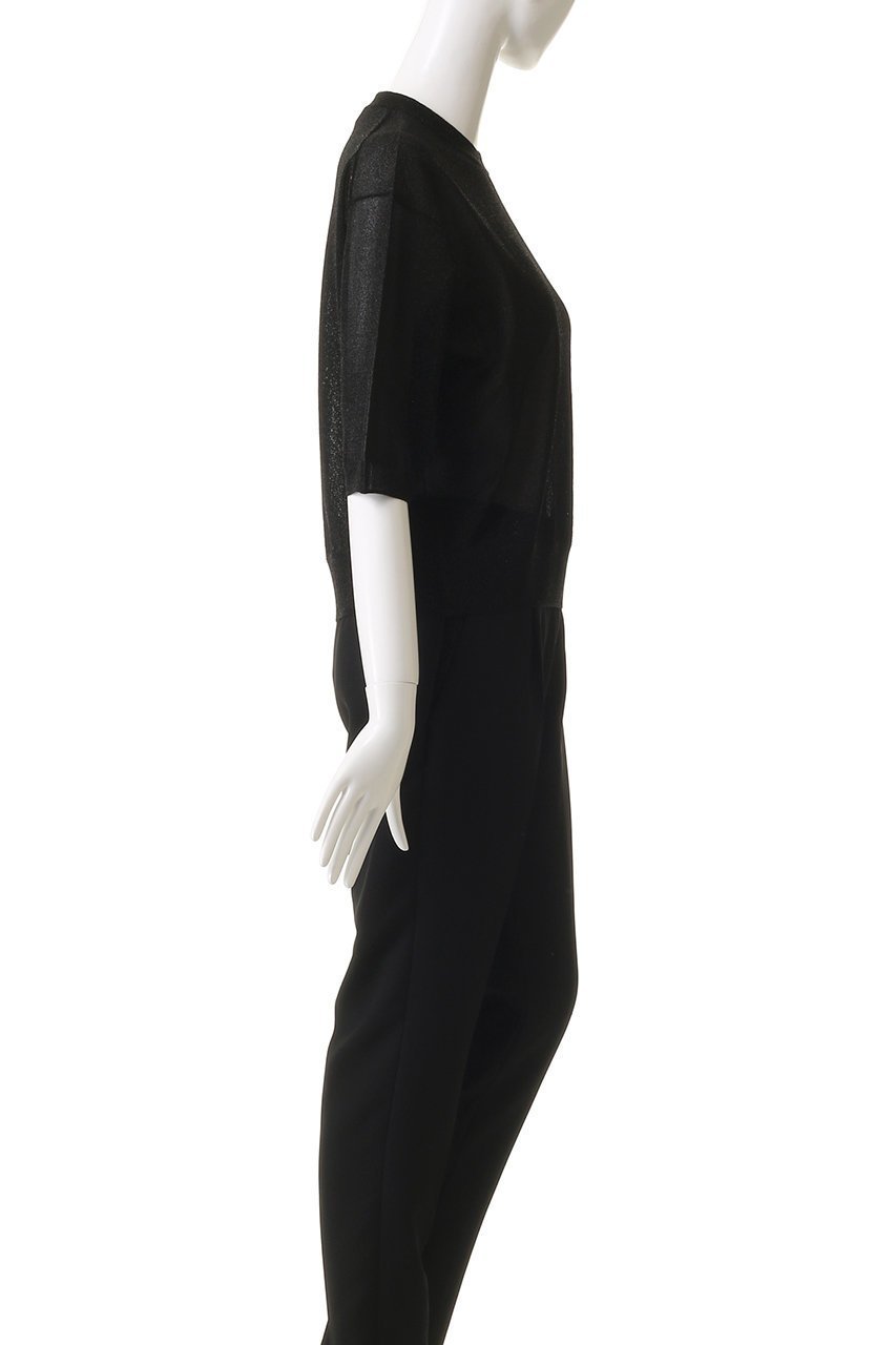 【サクラ/SACRA】のファイングロッシーヤーントップス 人気、トレンドファッション・服の通販 founy(ファニー) 　ファッション　Fashion　レディースファッション　Fashion for Women　トップス・カットソー　Cut & Sew Tops　シャツ・ブラウス・オフィスカジュアル　Elegant Blouses & Button-Ups　2025年　2025　2025-2026秋冬・A/W　Autumn/Winter 2025–26 AW25–26　カットソー　Cut and Sewn Top　シアー　Sheer, See-Through　ショート　Short, Short Length　スリーブ　Sleeve, Long Sleeve / Short Sleeve　A/W・秋冬　Autumn/Winter　other-3|ID: prp329100004625441 ipo3291000000033230334
