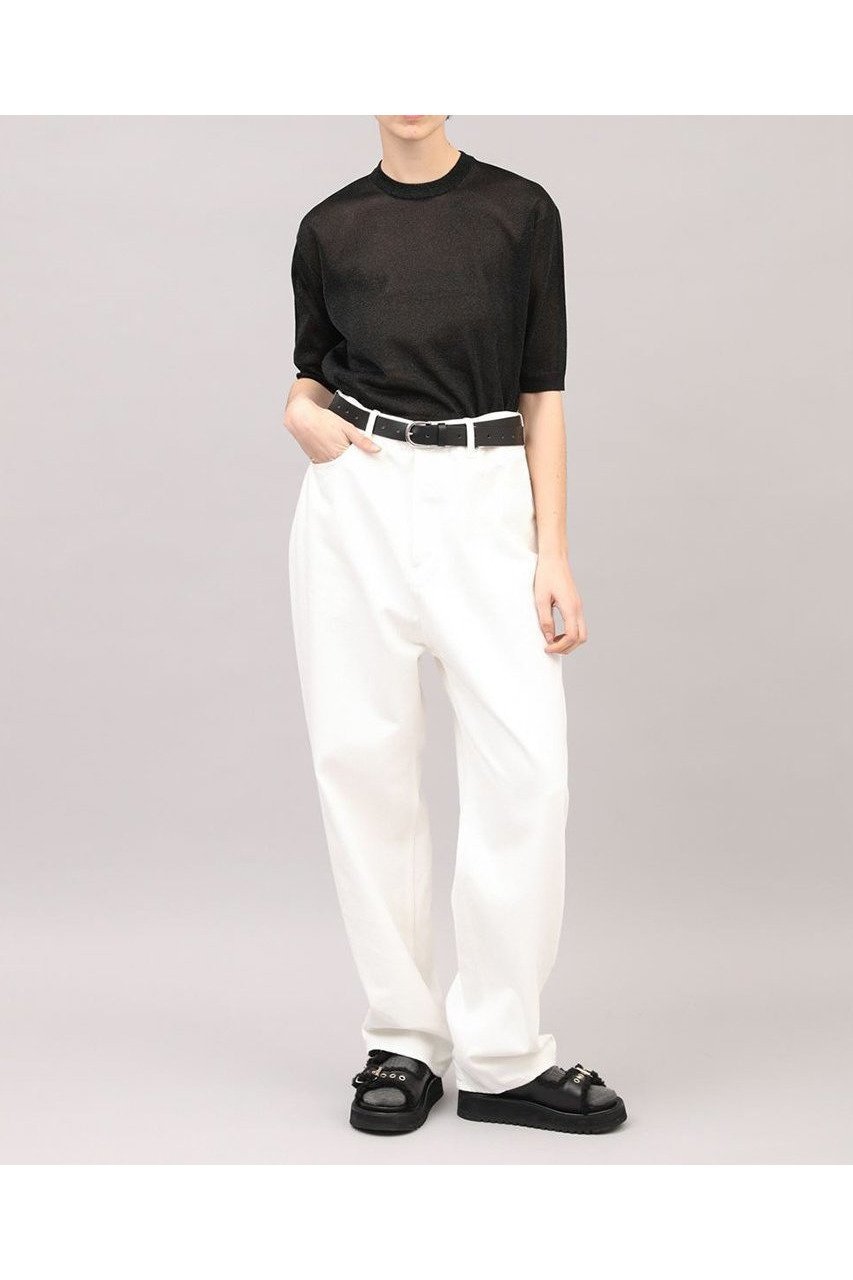 【サクラ/SACRA】のファイングロッシーヤーントップス 人気、トレンドファッション・服の通販 founy(ファニー) 　ファッション　Fashion　レディースファッション　Fashion for Women　トップス・カットソー　Cut & Sew Tops　シャツ・ブラウス・オフィスカジュアル　Elegant Blouses & Button-Ups　2025年　2025　2025-2026秋冬・A/W　Autumn/Winter 2025–26 AW25–26　カットソー　Cut and Sewn Top　シアー　Sheer, See-Through　ショート　Short, Short Length　スリーブ　Sleeve, Long Sleeve / Short Sleeve　A/W・秋冬　Autumn/Winter　other-7|ID: prp329100004625441 ipo3291000000033230338
