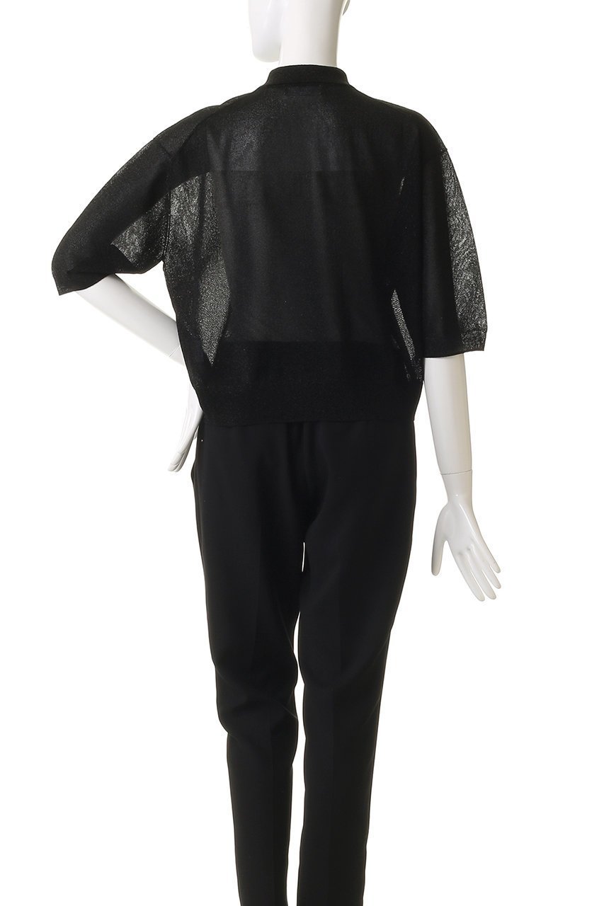 【サクラ/SACRA】のエクストラファイングロッシーヤーンポロトップス 人気、トレンドファッション・服の通販 founy(ファニー) 　ファッション　Fashion　レディースファッション　Fashion for Women　トップス・カットソー　Cut & Sew Tops　ニット　Knit Tops & Sweaters　カジュアルプルオーバー・ニットトップス　Pullovers & Knit Tops / Casual Pullovers　2025年　2025　2025-2026秋冬・A/W　Autumn/Winter 2025–26 AW25–26　カットソー　Cut and Sewn Top　クロップド　Cropped, Short Length　シアー　Sheer, See-Through　A/W・秋冬　Autumn/Winter　other-4|ID: prp329100004625452 ipo3291000000033230436