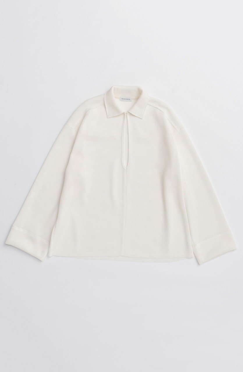 【メゾンスペシャル/MAISON SPECIAL】のSheer Mesh Collar Pullover/シアーメッシュカラープルオーバー インテリア・キッズ・メンズ・レディースファッション・服の通販 founy(ファニー) 　ファッション　Fashion　レディースファッション　Fashion for Women　トップス・カットソー　Cut & Sew Tops　シャツ・ブラウス・オフィスカジュアル　Elegant Blouses & Button-Ups　ロングTシャツ・Tシャツ　Longline T-Shirts & Tees　カジュアルプルオーバー・ニットトップス　Pullovers & Knit Tops / Casual Pullovers　カットソー・ベーシックTシャツ　Cut-and-Sewn Tops / Stretch Tees & Basics　2025年　2025　2025-2026秋冬・A/W　Autumn/Winter 2025–26 AW25–26　シンプル　Simple, Minimal　スリーブ　Sleeve, Long Sleeve / Short Sleeve　フロント　Front, Front Design　メッシュ　Mesh, Net Fabric　メンズ　Men's, Menswear　ロング　Long, Long-Length　A/W・秋冬　Autumn/Winter　WHT(ホワイト)|ID: prp329100004626361 ipo3291000000033244338