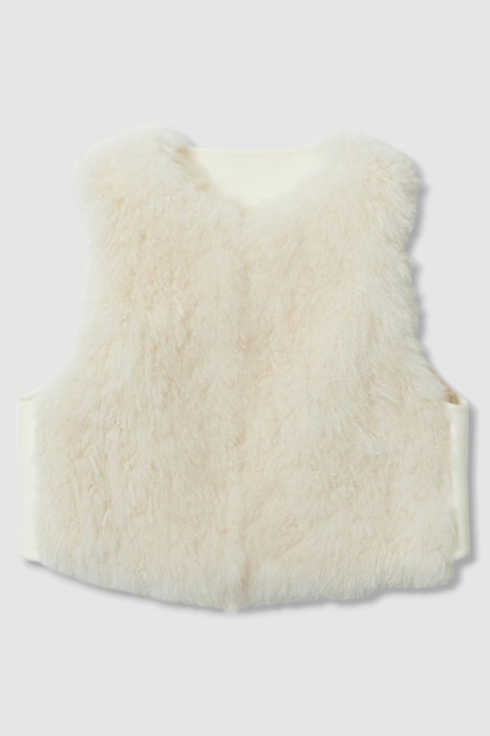 【アナイ/ANAYI】のカシミヤファーウールリバージレ インテリア・キッズ・メンズ・レディースファッション・服の通販 founy(ファニー) https://founy.com/ ファッション Fashion レディースファッション Fashion for Women アウター Coat / Outerwear Collection レディースジャケット・軽アウター Jackets おすすめ Recommended / Our Picks コンビ Combo, Combination Style ジャケット Jacket, Outerwear フロント Front, Front Design ベスト Vest, Waistcoat |ID: prp329100004626445 ipo3291000000033245038