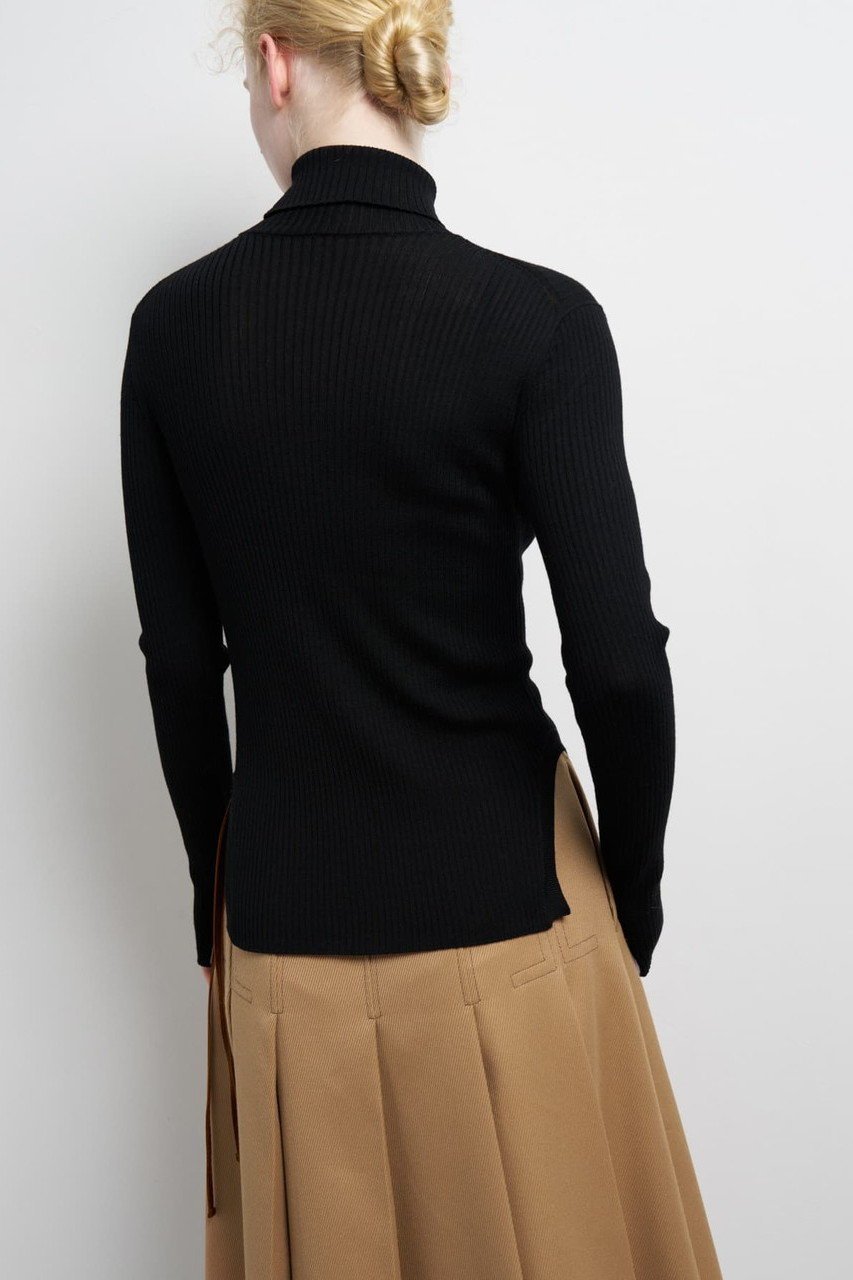 【ランバン オン ブルー/LANVIN en Bleu】のカラーポイントリブタートル 人気、トレンドファッション・服の通販 founy(ファニー) 　ファッション　Fashion　レディースファッション　Fashion for Women　トップス・カットソー　Cut & Sew Tops　ニット　Knit Tops & Sweaters　カジュアルプルオーバー・ニットトップス　Pullovers & Knit Tops / Casual Pullovers　インナー　Innerwear　コンパクト　Compact, Small Size　スリット　Slit, Slit Detail　ファブリック　Fabric, Textile　フィット　Fit, Slim Fit　ワンポイント　One Point, Statement Accent　今季　This Season, Current Season　冬　Winter / This Winter　定番　Standard, Basic Item　新作・新入荷　New Arrivals / New In　軽量　Lightweight, Ultra Light　other-4|ID: prp329100004627491 ipo3291000000033260279