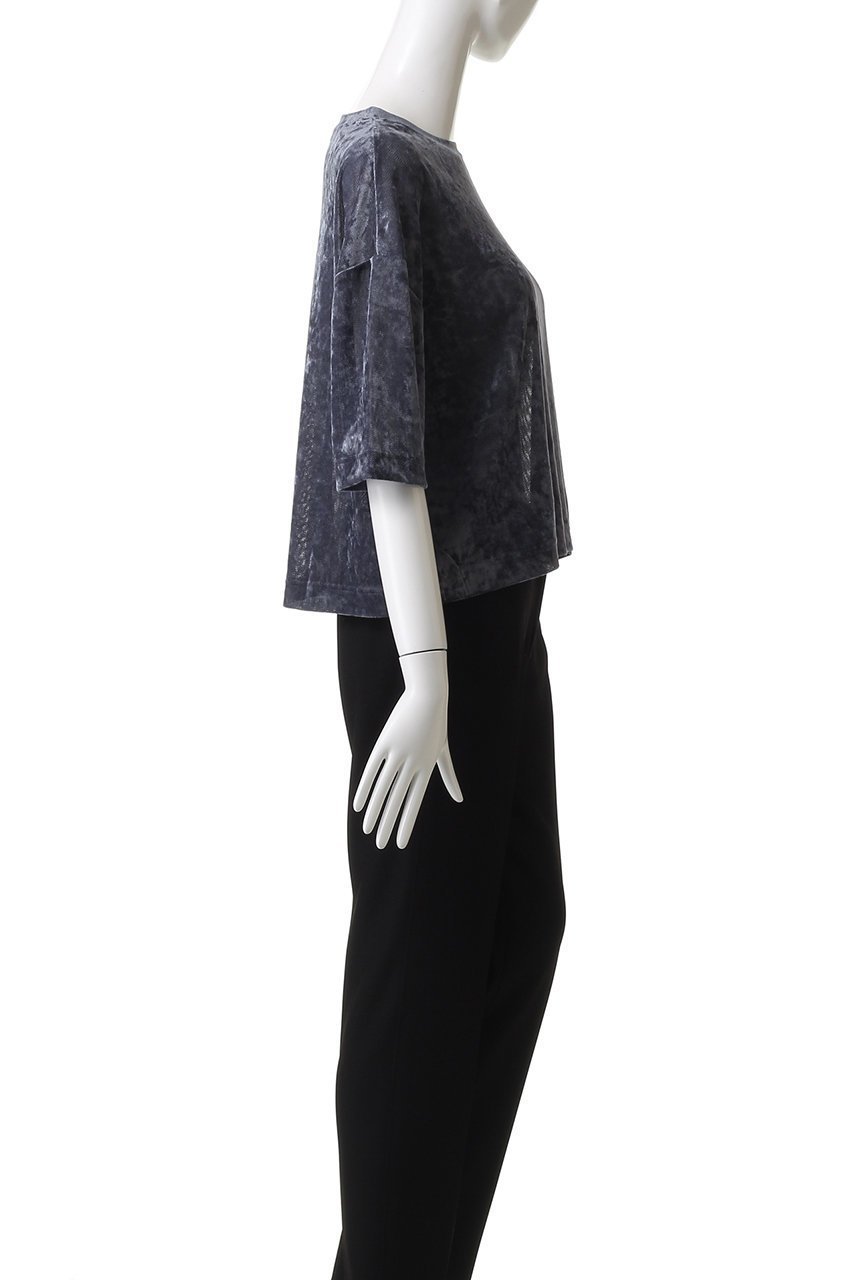 【エリオポール/heliopole】のシアーベロアTシャツ 人気、トレンドファッション・服の通販 founy(ファニー) 　ファッション　Fashion　レディースファッション　Fashion for Women　トップス・カットソー　Cut & Sew Tops　シャツ・ブラウス・オフィスカジュアル　Elegant Blouses & Button-Ups　ロングTシャツ・Tシャツ　Longline T-Shirts & Tees　カットソー・ベーシックTシャツ　Cut-and-Sewn Tops / Stretch Tees & Basics　ベロアトップス　Velour Tops / Velvet-Look Items　2025年　2025　2025-2026秋冬・A/W　Autumn/Winter 2025–26 AW25–26　シアー　Sheer, See-Through　ショート　Short, Short Length　スリーブ　Sleeve, Long Sleeve / Short Sleeve　トレンド　Trend, Trending Now　ベロア　Velour, Soft Velvet　秋　Autumn　A/W・秋冬　Autumn/Winter　other-3|ID: prp329100004630016 ipo3291000000033298369