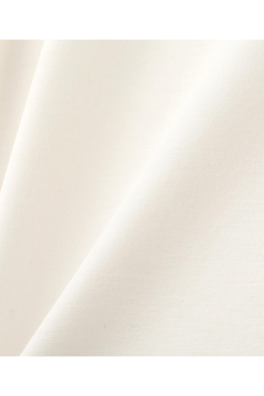 【アドーア/ADORE】のモイストジャージーカットソー 人気、トレンドファッション・服の通販 founy(ファニー) 　ファッション　Fashion　レディースファッション　Fashion for Women　トップス・カットソー　Cut & Sew Tops　シャツ・ブラウス・オフィスカジュアル　Elegant Blouses & Button-Ups　ロングTシャツ・Tシャツ　Longline T-Shirts & Tees　カットソー・ベーシックTシャツ　Cut-and-Sewn Tops / Stretch Tees & Basics　なめらか　Smooth, Silky Texture　スリーブ　Sleeve, Long Sleeve / Short Sleeve　ロング　Long, Long-Length　other-4|ID: prp329100004630125 ipo3291000000033299389