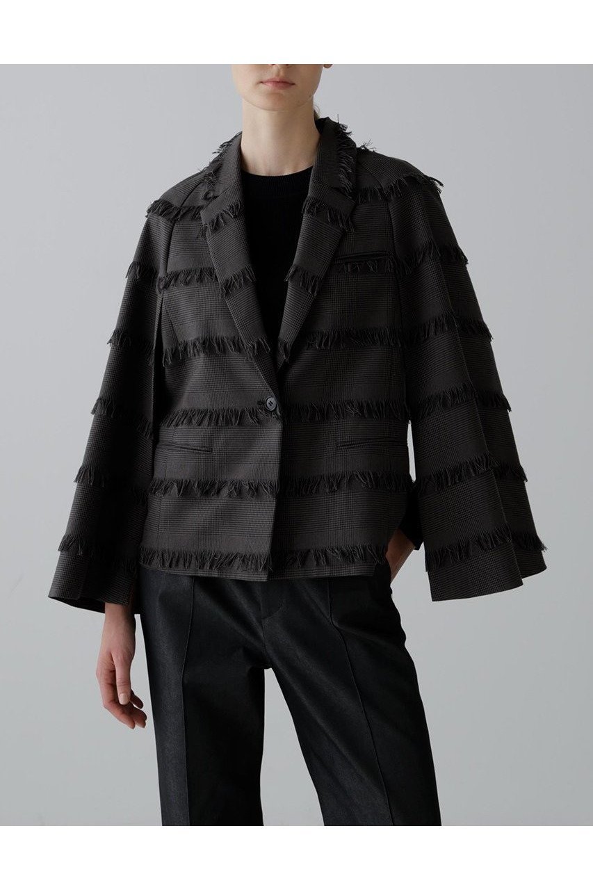 【アドーア/ADORE】のフリンジチェックジャケット 人気、トレンドファッション・服の通販 founy(ファニー) 　ファッション　Fashion　レディースファッション　Fashion for Women　アウター　Coat / Outerwear Collection　レディースジャケット・軽アウター　Jackets　おすすめ　Recommended / Our Picks　ジャカード／ジャガード　Jacquard, Woven Pattern　ジャケット　Jacket, Outerwear　スリーブ　Sleeve, Long Sleeve / Short Sleeve　セットアップ　Set-Up, Coordinated Outfit　チェック　Check, Plaid, Tartan　フリンジ　Fringe, Tassel　フレア　Flare, Flared　ボーダー　Border, Stripe　other-2|ID: prp329100004630165 ipo3291000000033299726