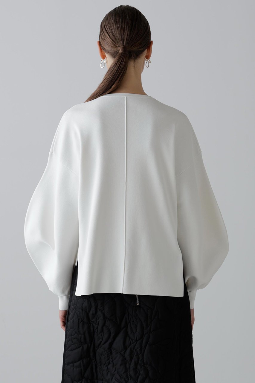 【アドーア/ADORE】のドライストレッチニットプルオーバー 人気、トレンドファッション・服の通販 founy(ファニー) 　ファッション　Fashion　レディースファッション　Fashion for Women　トップス・カットソー　Cut & Sew Tops　ニット　Knit Tops & Sweaters　カジュアルプルオーバー・ニットトップス　Pullovers & Knit Tops / Casual Pullovers　ストレッチ　Stretch, Stretchy Fabric　フォルム　Silhouette, Form　other-5|ID: prp329100004630179 ipo3291000000033299845