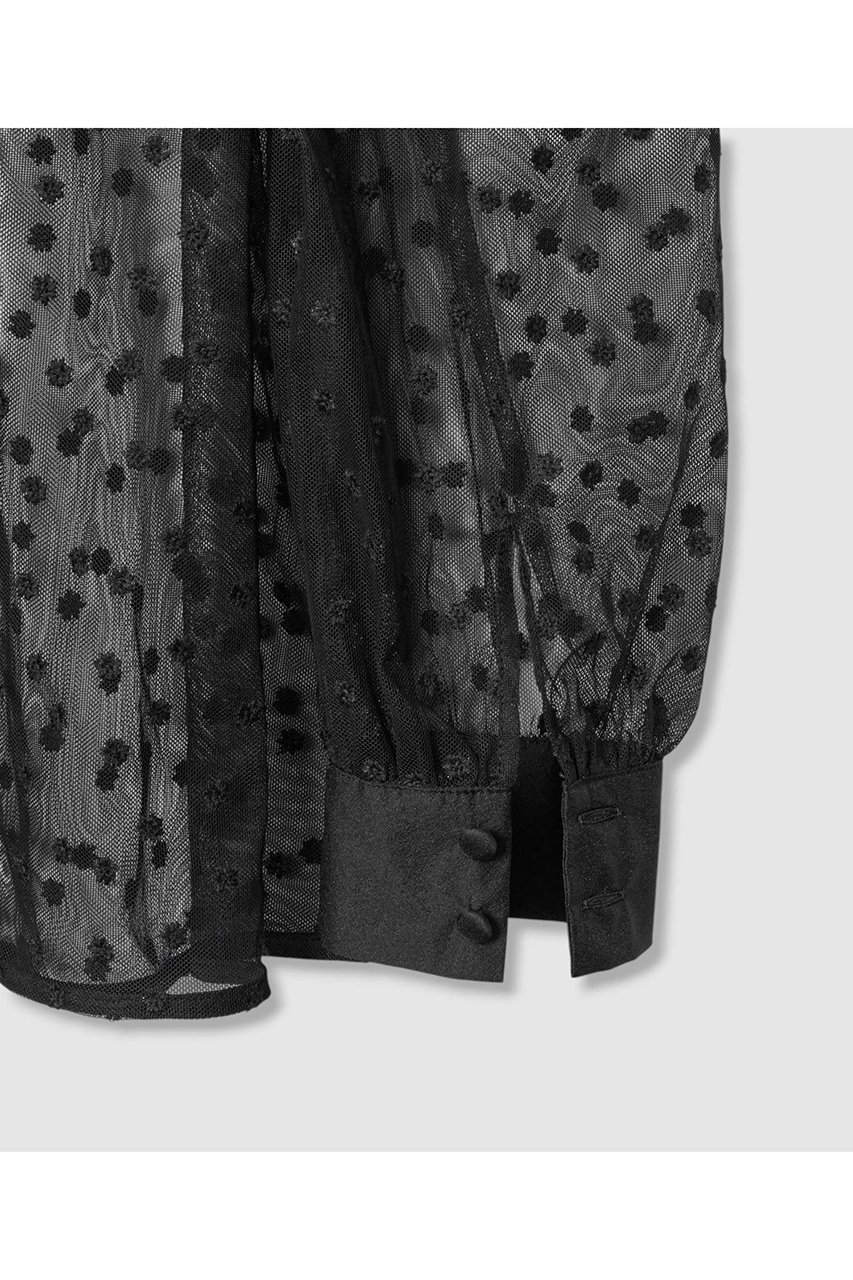 【アナイ/ANAYI】のリトルフラワーチュールギャザーブラウス 人気、トレンドファッション・服の通販 founy(ファニー) 　ファッション　Fashion　レディースファッション　Fashion for Women　トップス・カットソー　Cut & Sew Tops　シャツ・ブラウス・オフィスカジュアル　Elegant Blouses & Button-Ups　2025年　2025　2025-2026秋冬・A/W　Autumn/Winter 2025–26 AW25–26　おすすめ　Recommended / Our Picks　オーガンジー　Organza Fabric　カフス　Cuff Design　ギャザー　Gathered, Ruffled　シアー　Sheer, See-Through　スリーブ　Sleeve, Long Sleeve / Short Sleeve　チュール　Tulip, Tulip Motif　ドット　Polka Dot, Dot Pattern　フラワー　Flower, Floral　ボトム　Bottoms, Lower Wear　モチーフ　Motif, Design Theme　ロング　Long, Long-Length　A/W・秋冬　Autumn/Winter　other-4|ID: prp329100004630804 ipo3291000000033313276