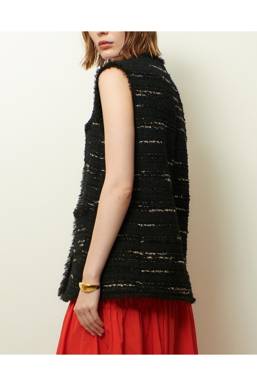 【アルアバイル/allureville】のジオリカツィードフリンジジレ 人気、トレンドファッション・服の通販 founy(ファニー) 　ファッション　Fashion　レディースファッション　Fashion for Women　アウター　Coat / Outerwear Collection　レディースジャケット・軽アウター　Jackets　2025年　2025　2025-2026秋冬・A/W　Autumn/Winter 2025–26 AW25–26　おすすめ　Recommended / Our Picks　イタリア　Italy　インナー　Innerwear　グログラン　Grosgrain, Grosgrain Ribbon　ジャケット　Jacket, Outerwear　タンク　Tank Top, Sleeveless Top　タートル　Turtleneck, Turtle Collar　ダウン　Down, Puffer　ツイード　Twill, Twill Weave　デニム　Denim, Jeans Material　フリンジ　Fringe, Tassel　ベスト　Vest, Waistcoat　A/W・秋冬　Autumn/Winter　other-4|ID: prp329100004630830 ipo3291000000033313489